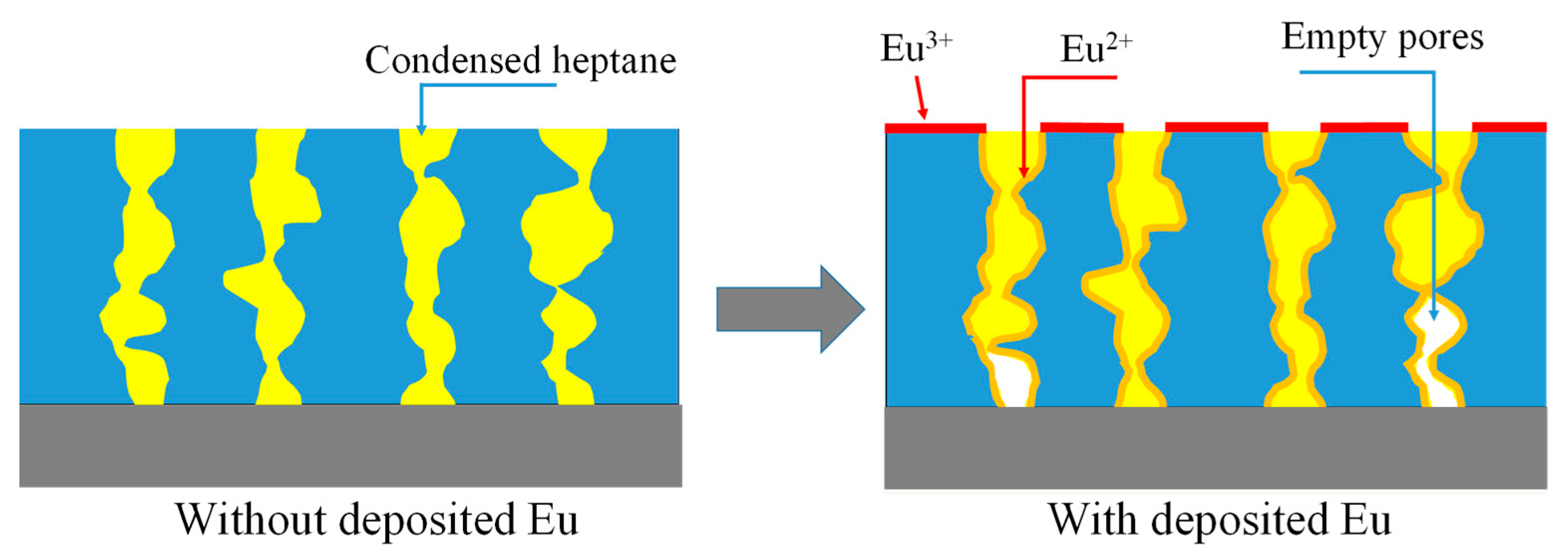 Coatings 13 01656 g005