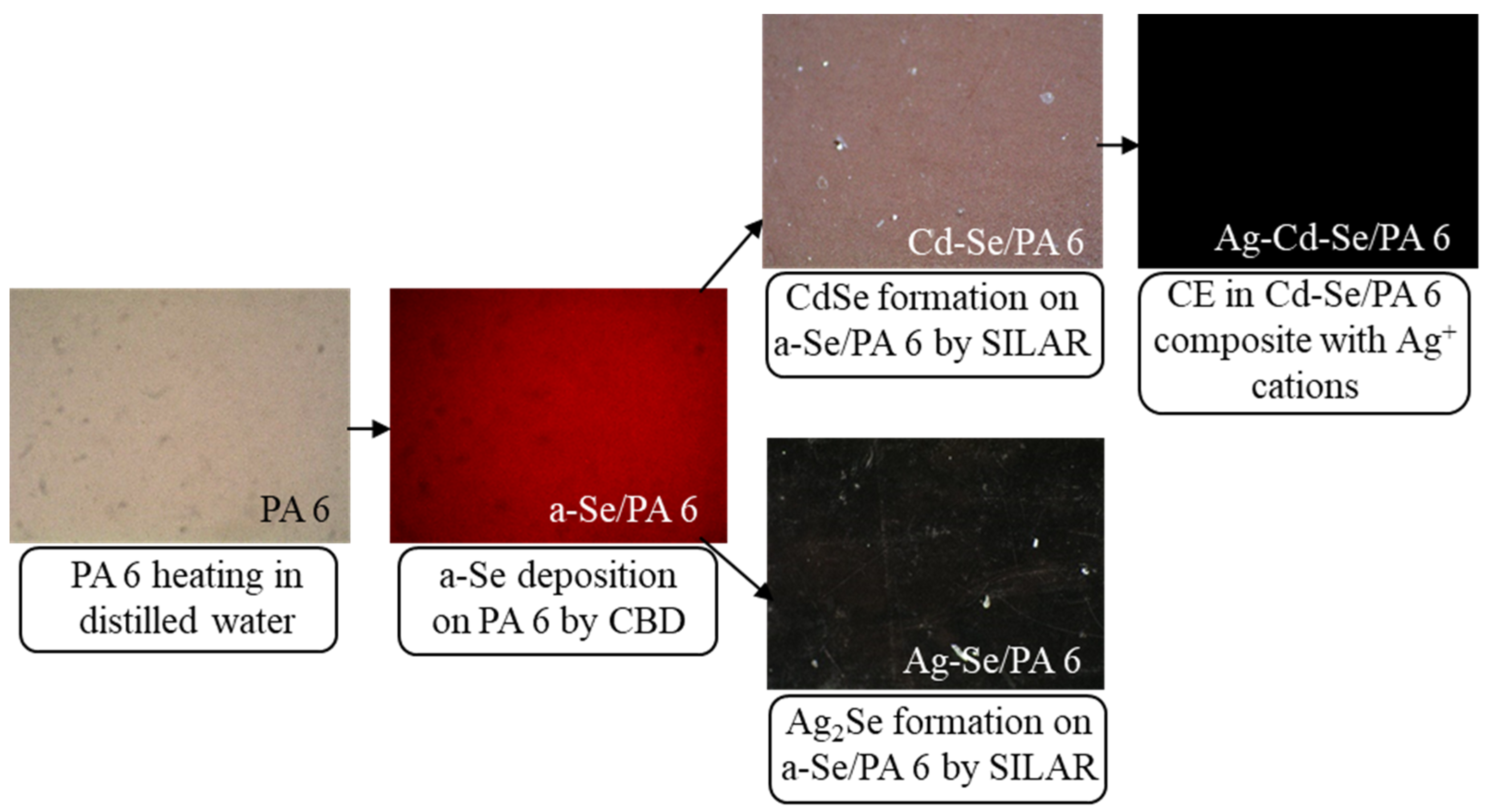 Coatings 13 01661 g001