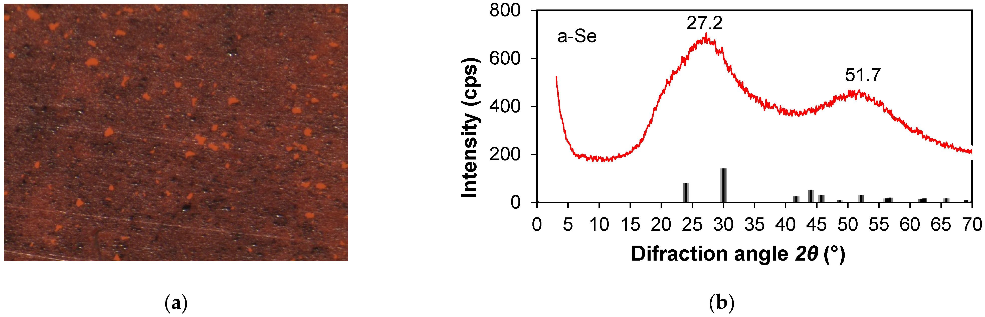 Coatings 13 01661 g003
