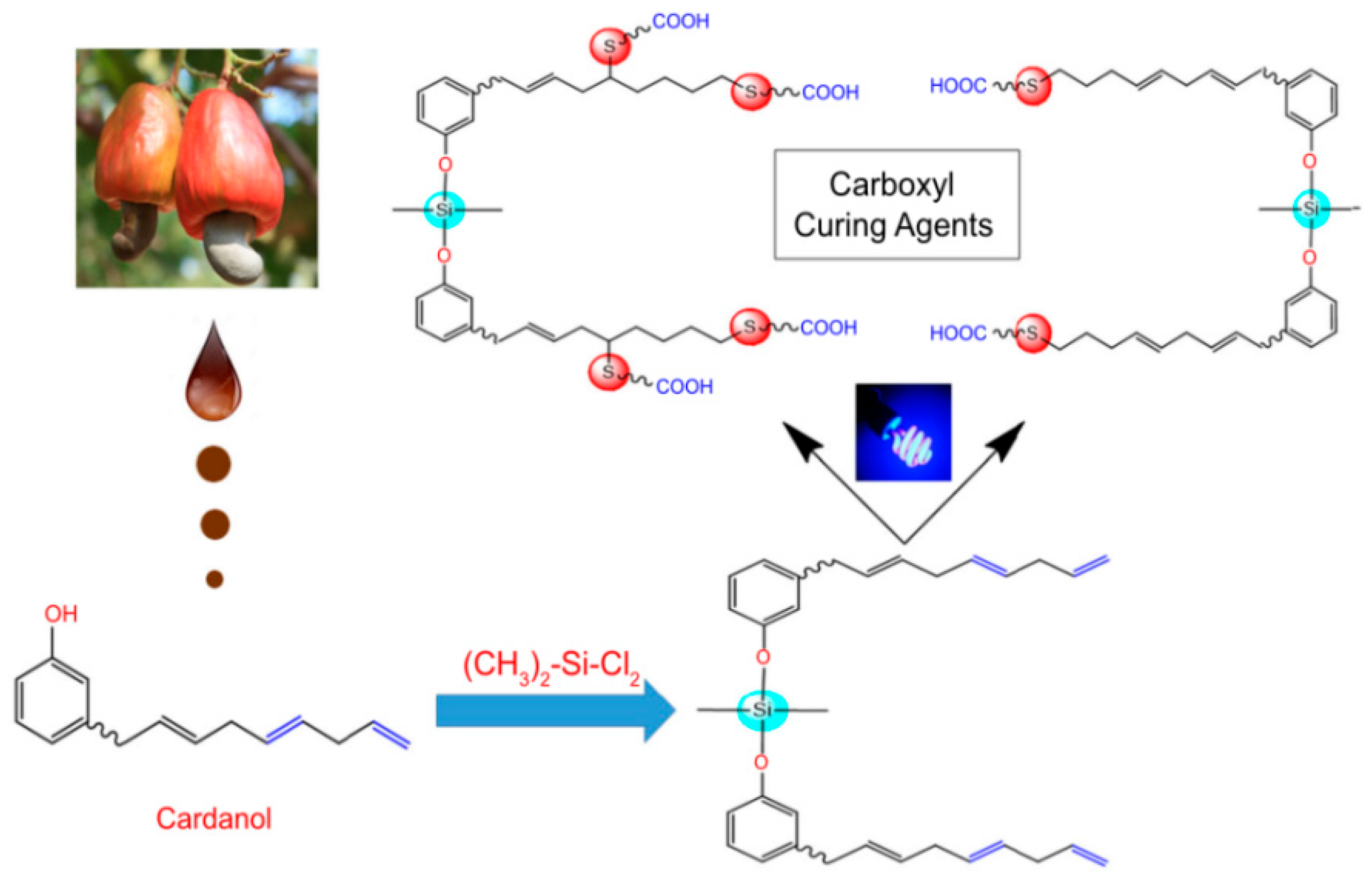 Coatings 13 01663 g016 Coatings 13 01663 g016