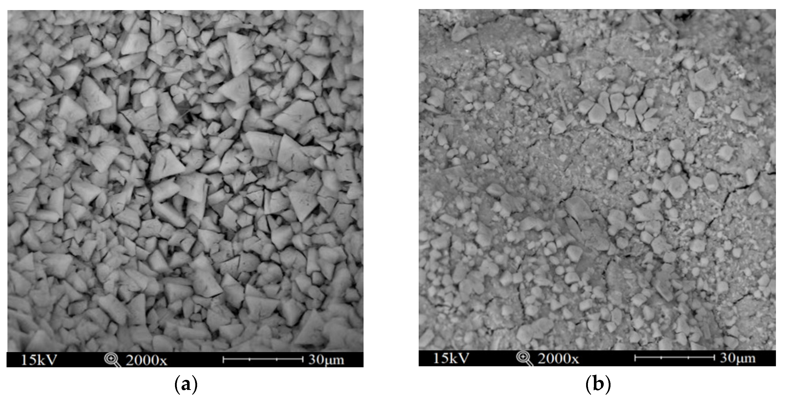 Coatings 13 01664 g006