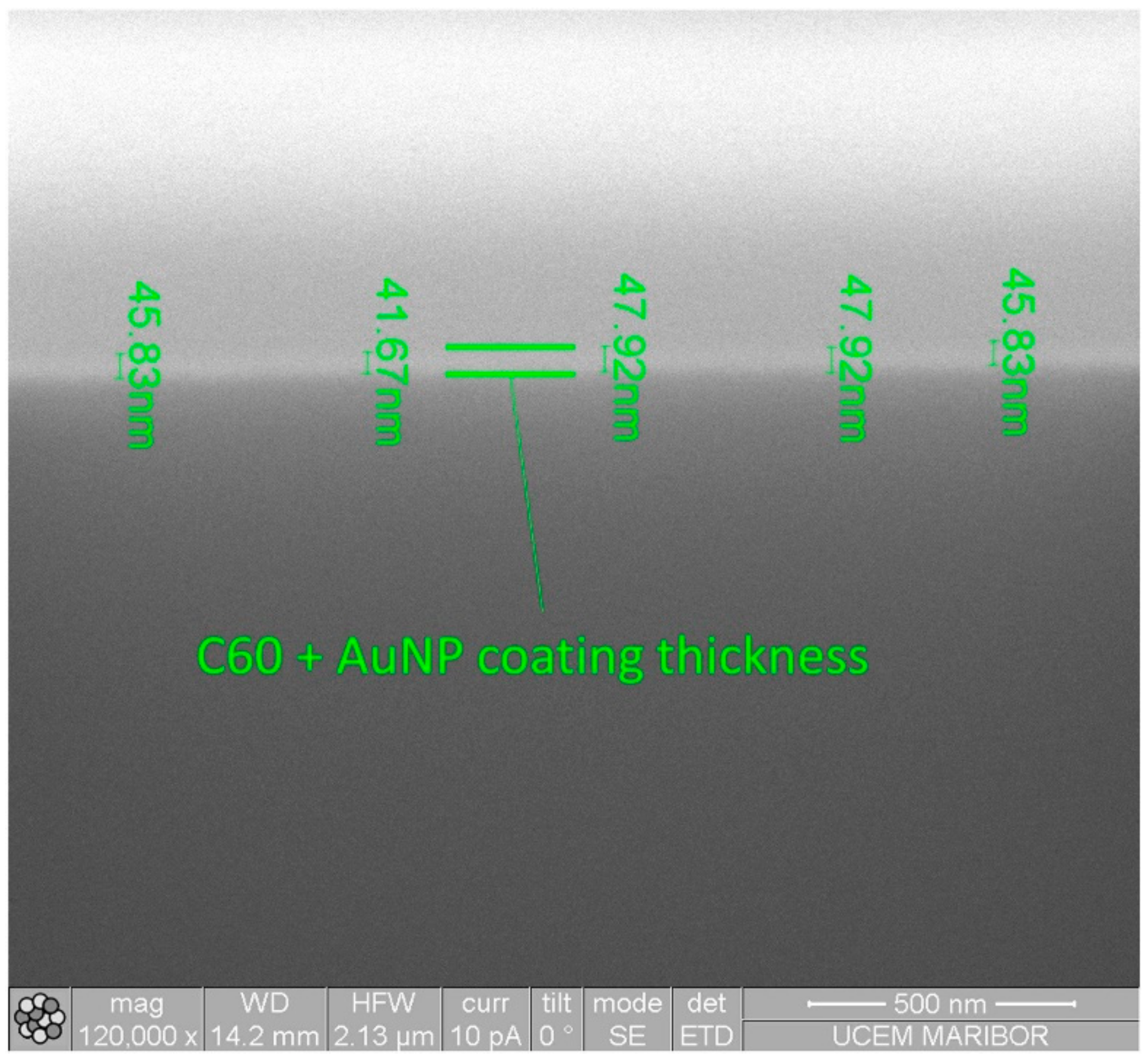 Coatings 13 01666 g008
