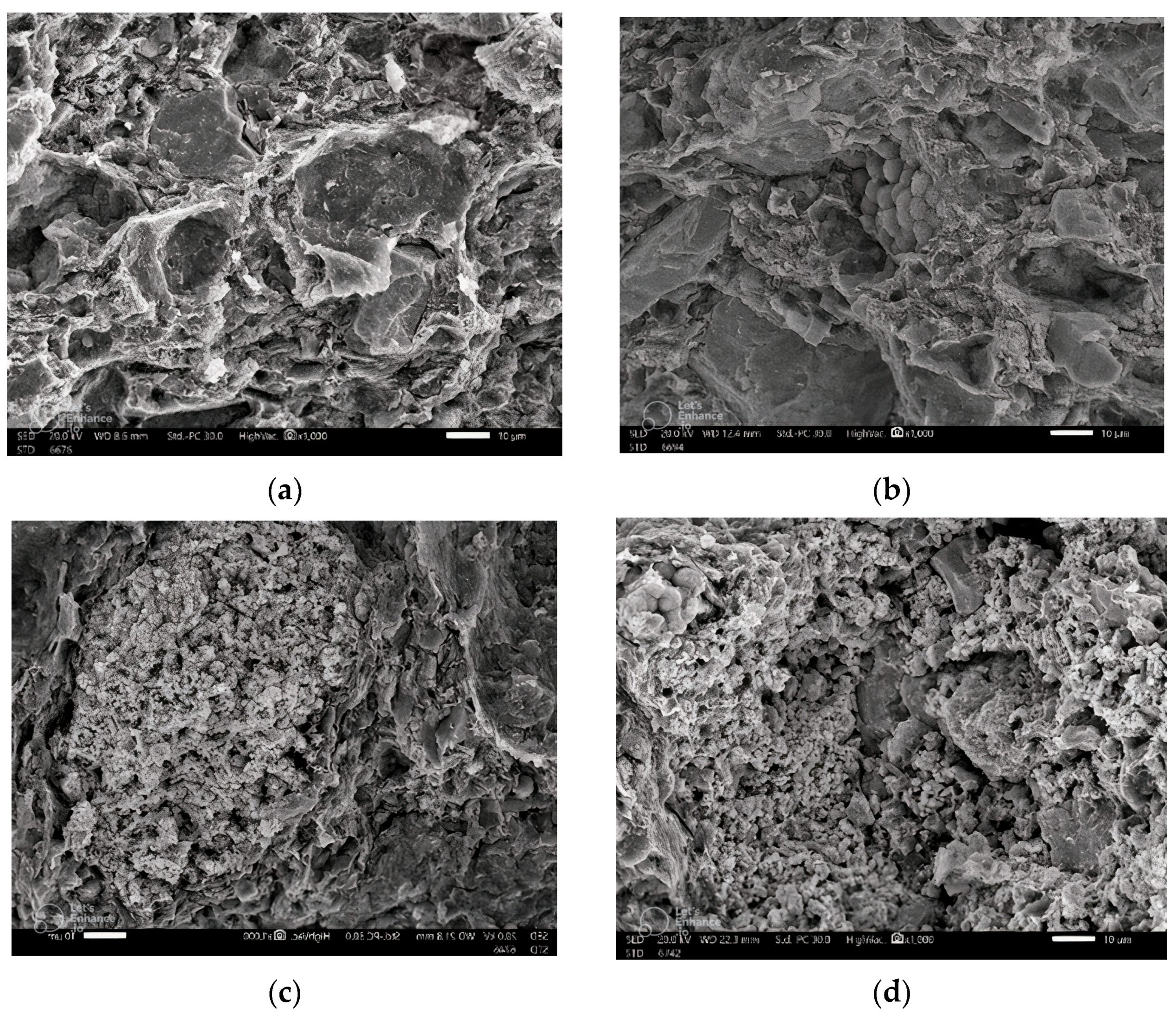 Coatings 13 01670 g004a
