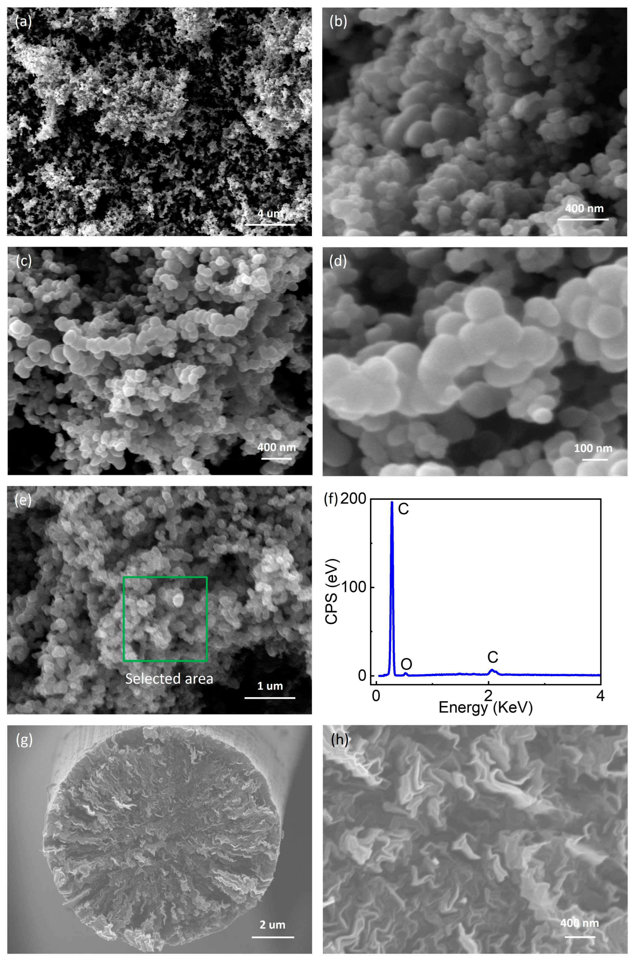 Coatings 13 01671 g001