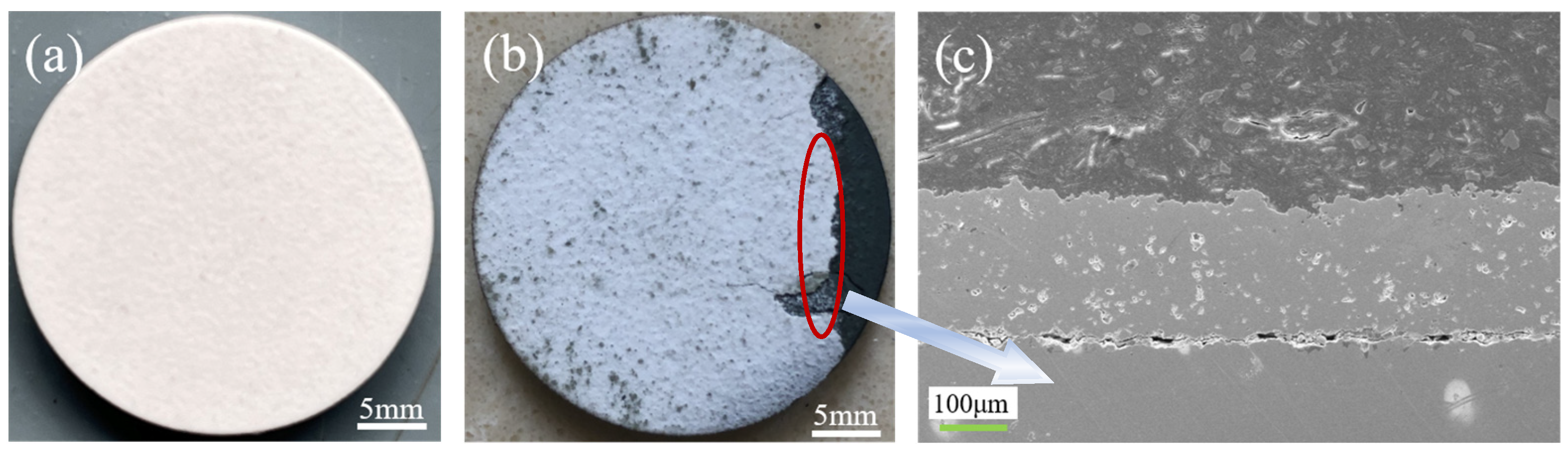 Coatings 13 01675 g002