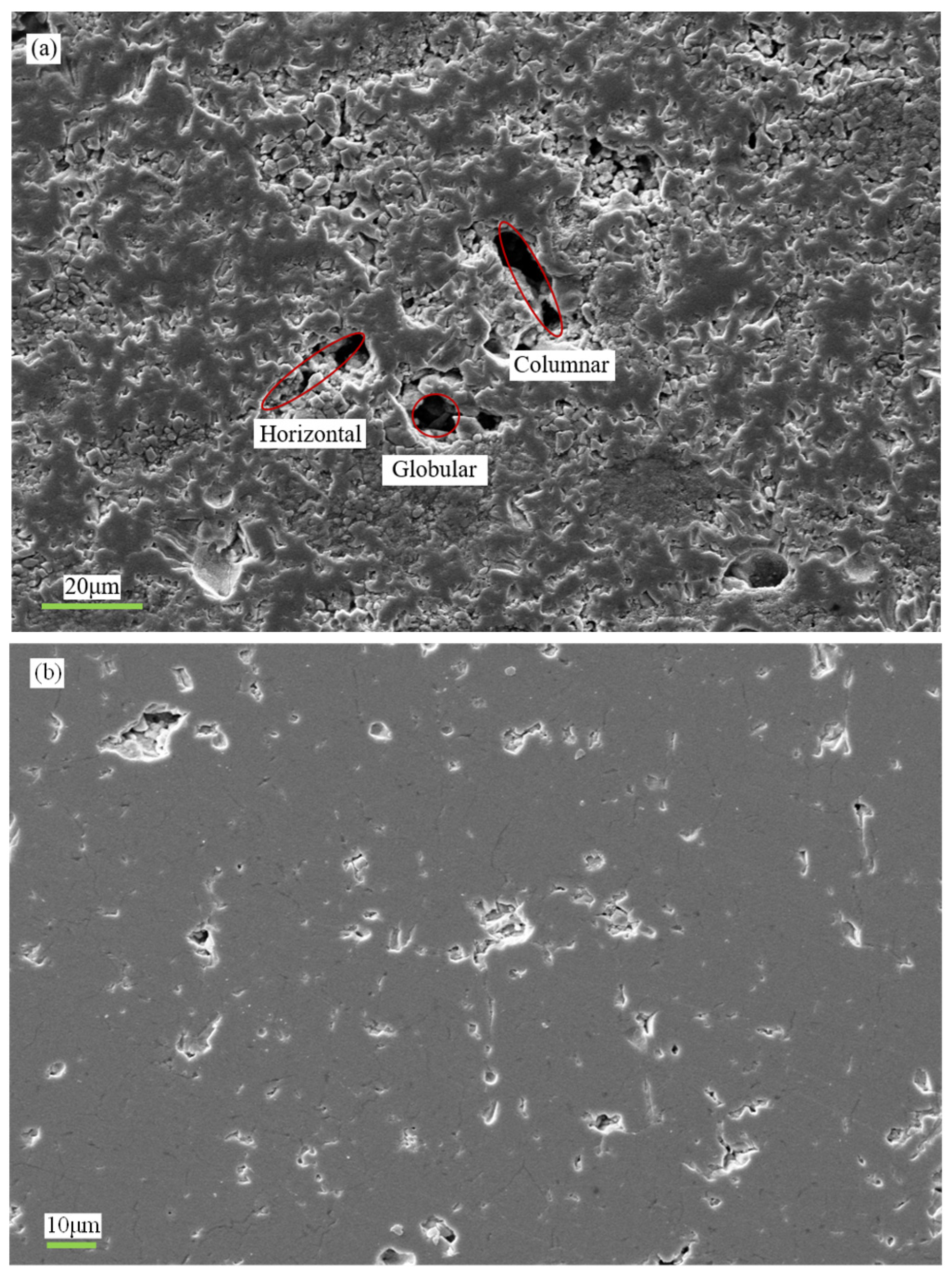 Coatings 13 01675 g003