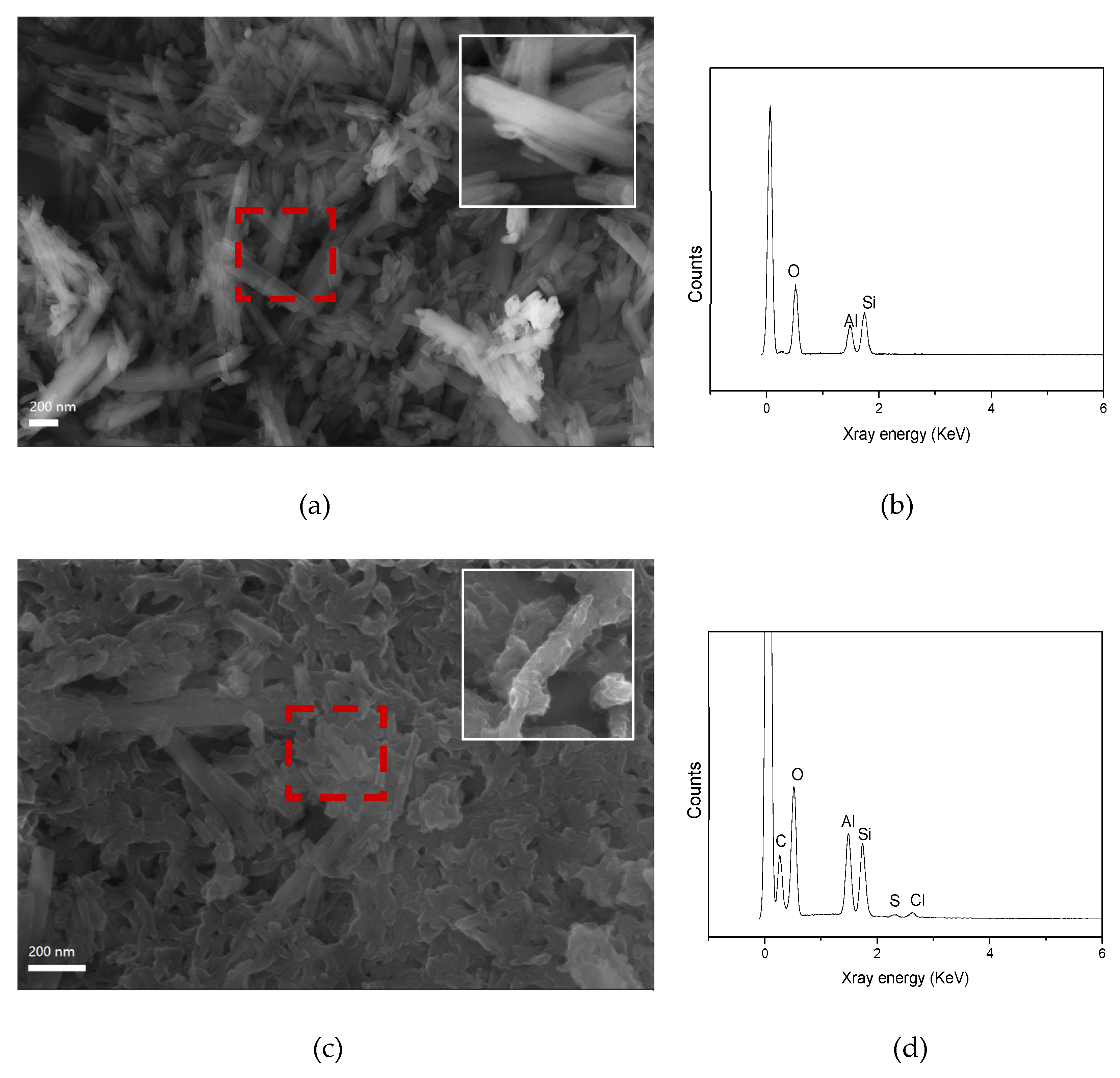 Coatings 13 01677 g001a