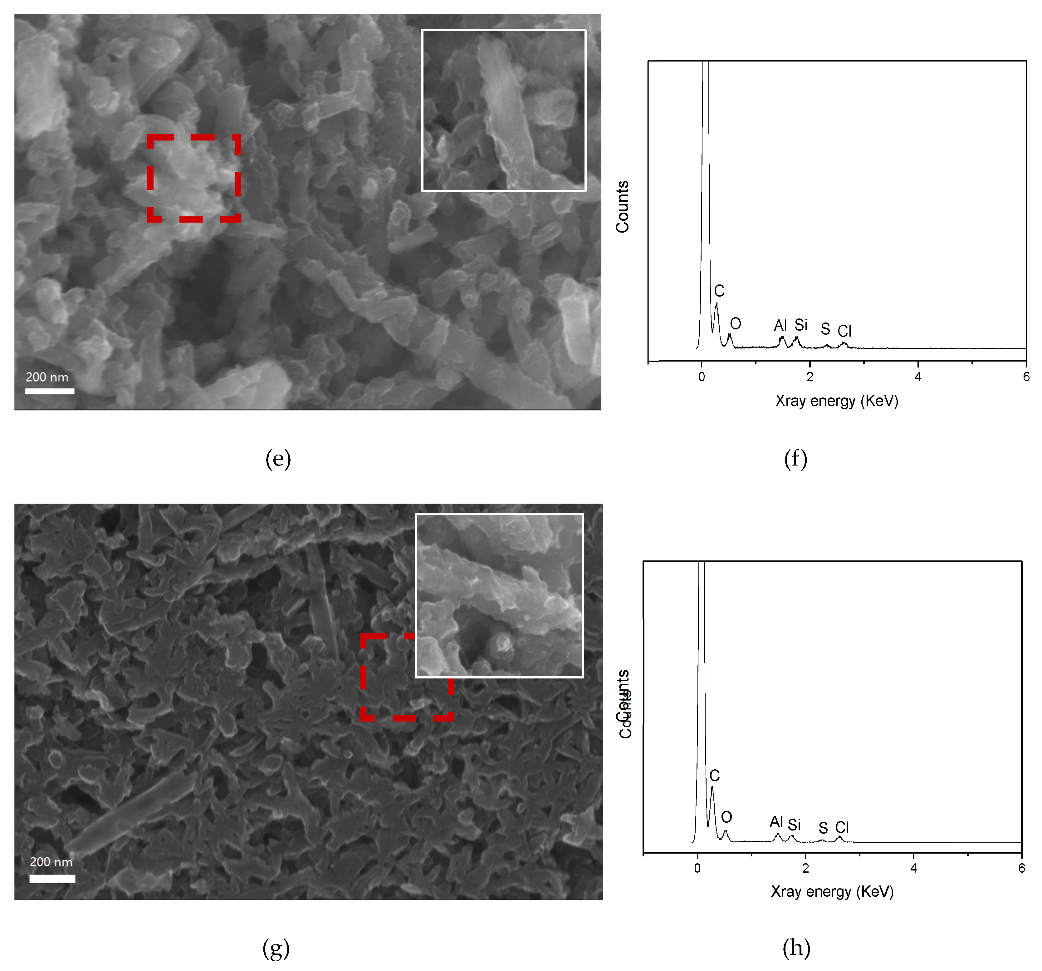 Coatings 13 01677 g001b