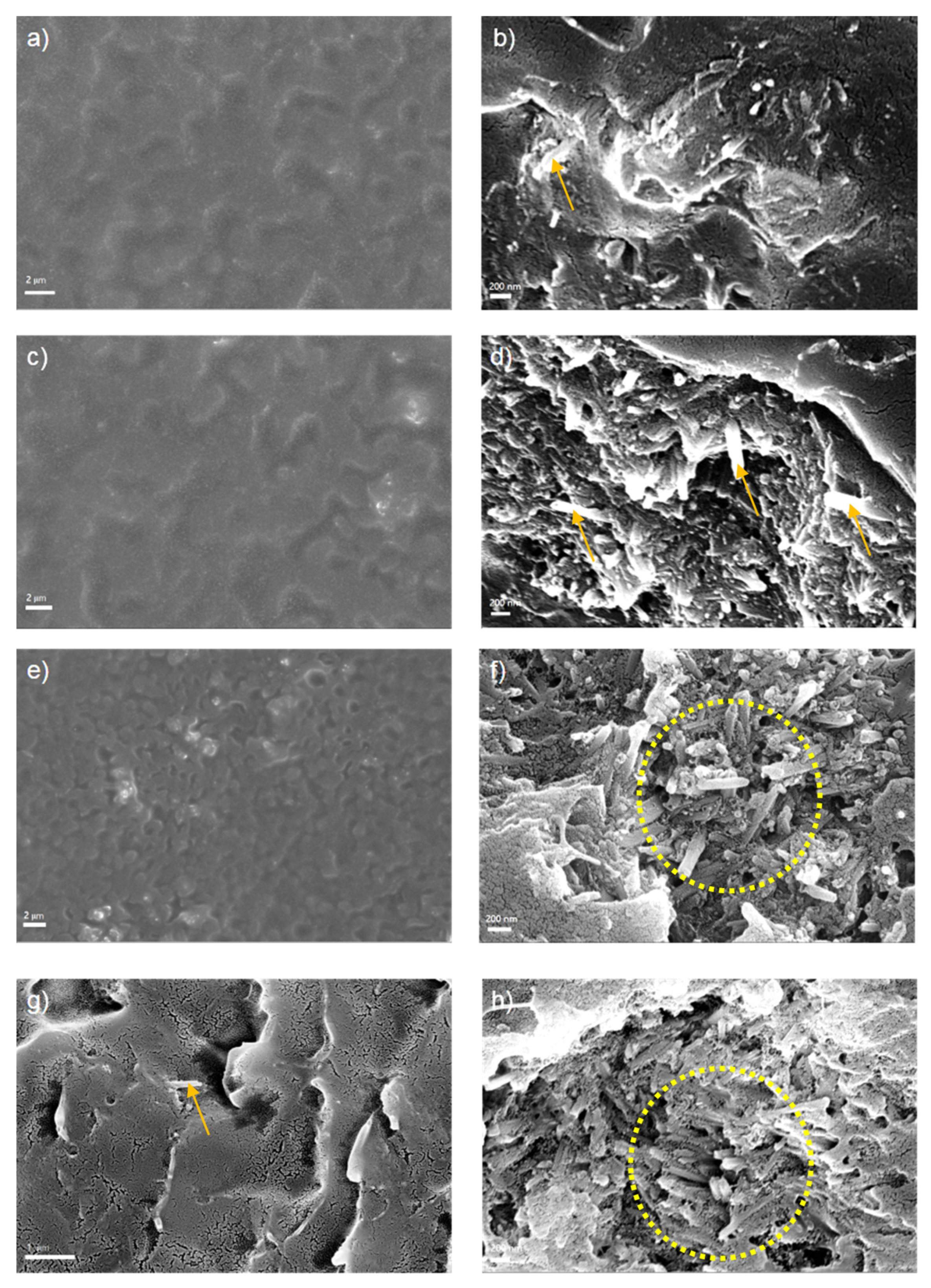 Coatings 13 01677 g005