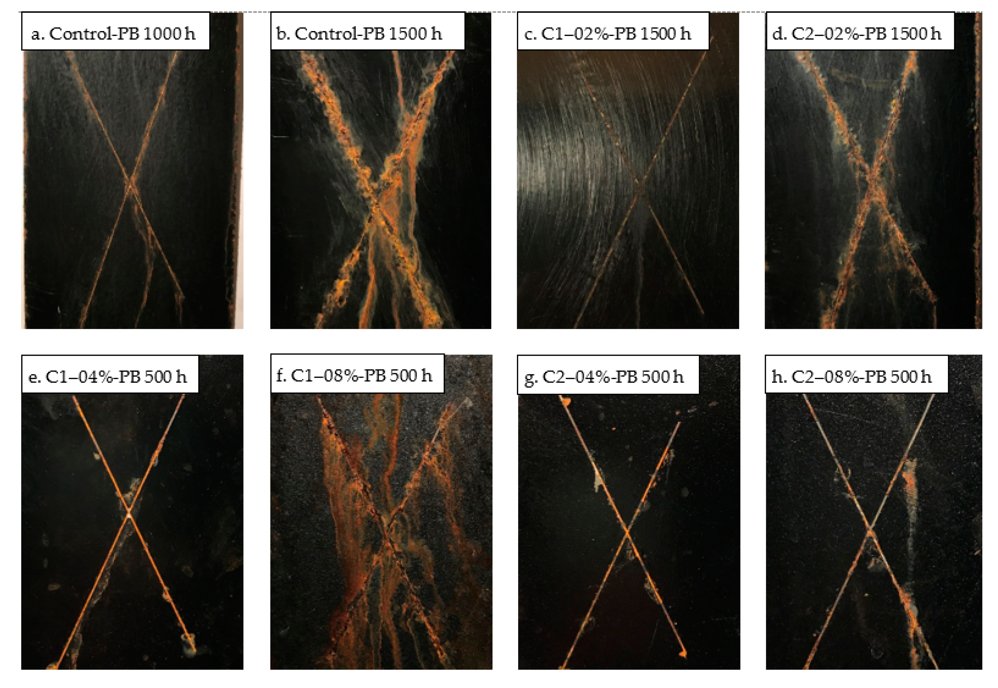 Coatings 13 01680 g009