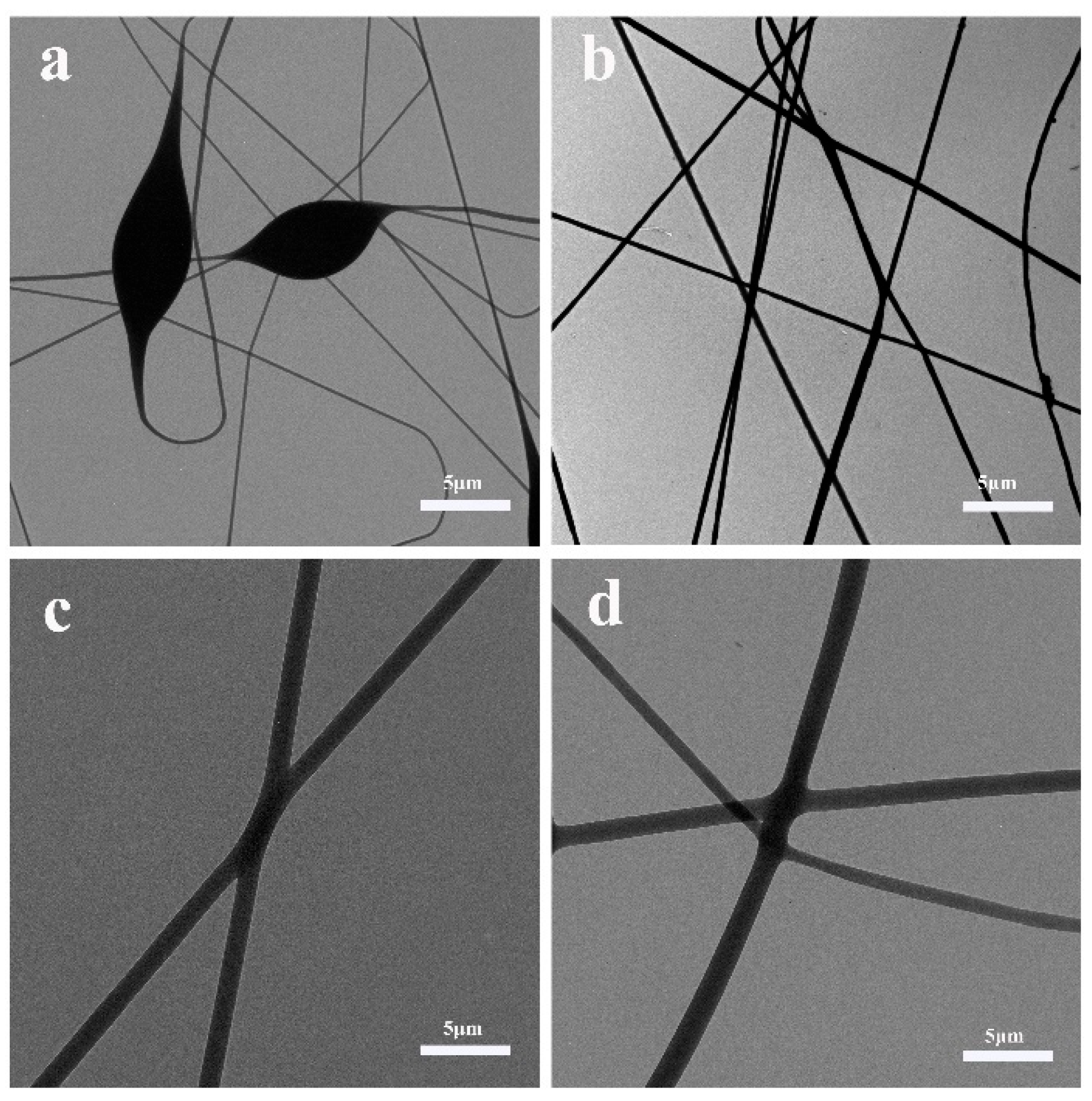 Coatings 13 01686 g002