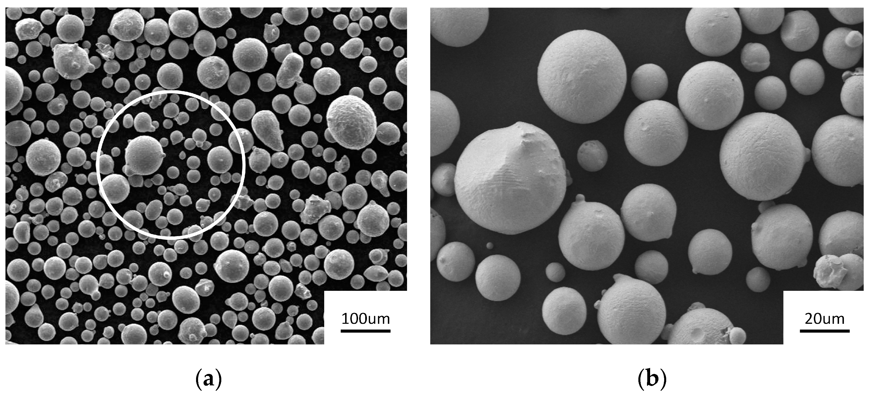 Coatings 13 01687 g003