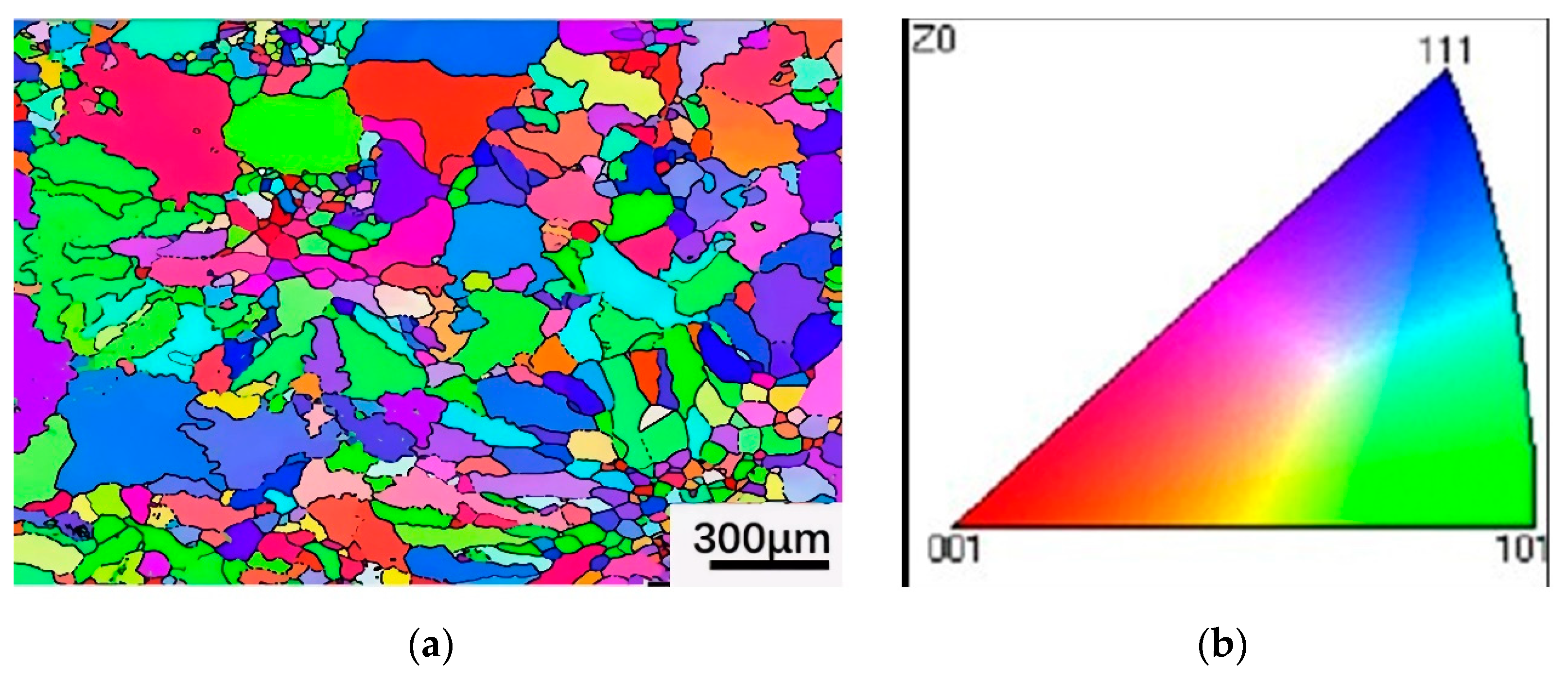 Coatings 13 01687 g005