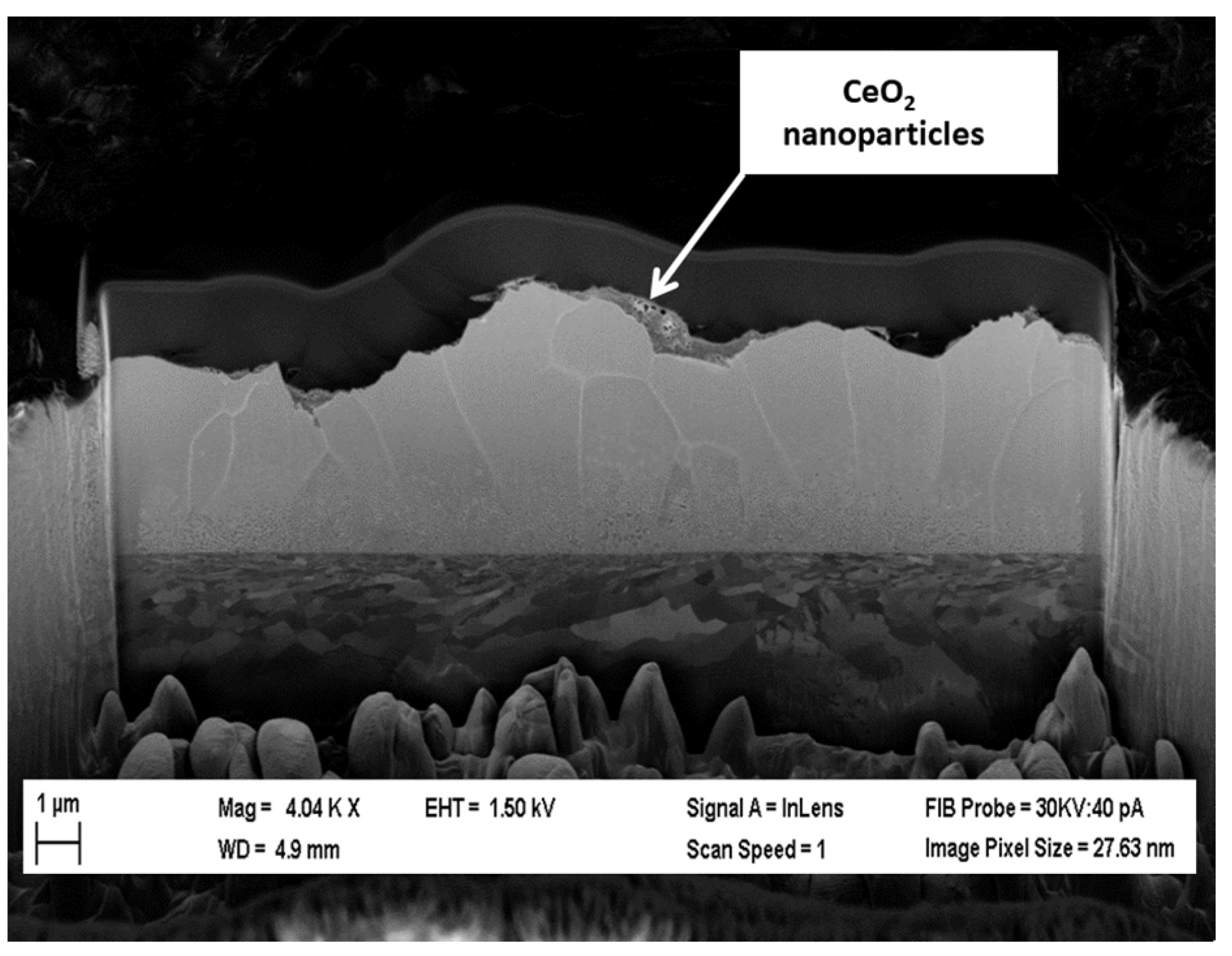 Coatings 13 01688 g004