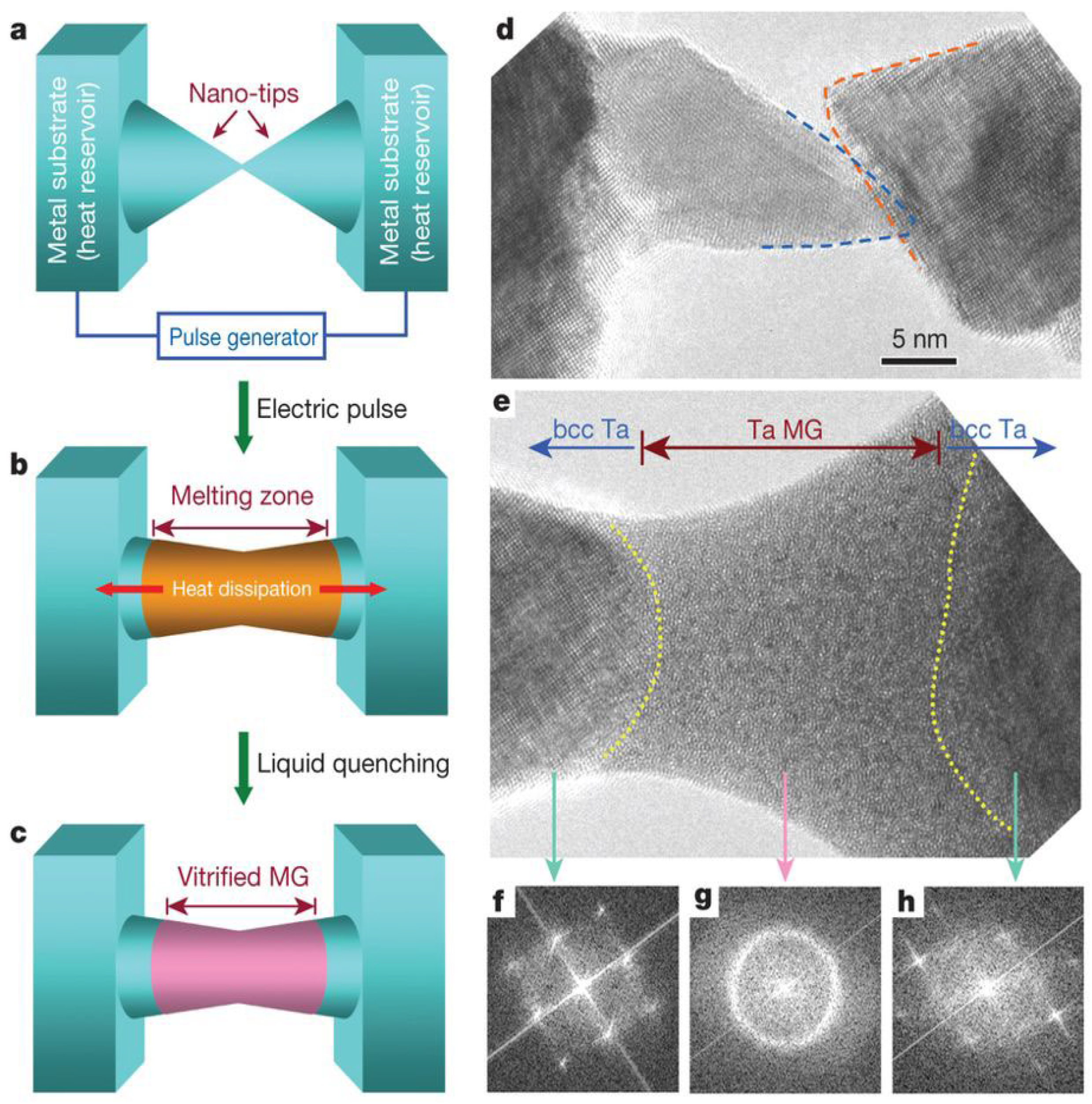 Coatings 13 01689 g002