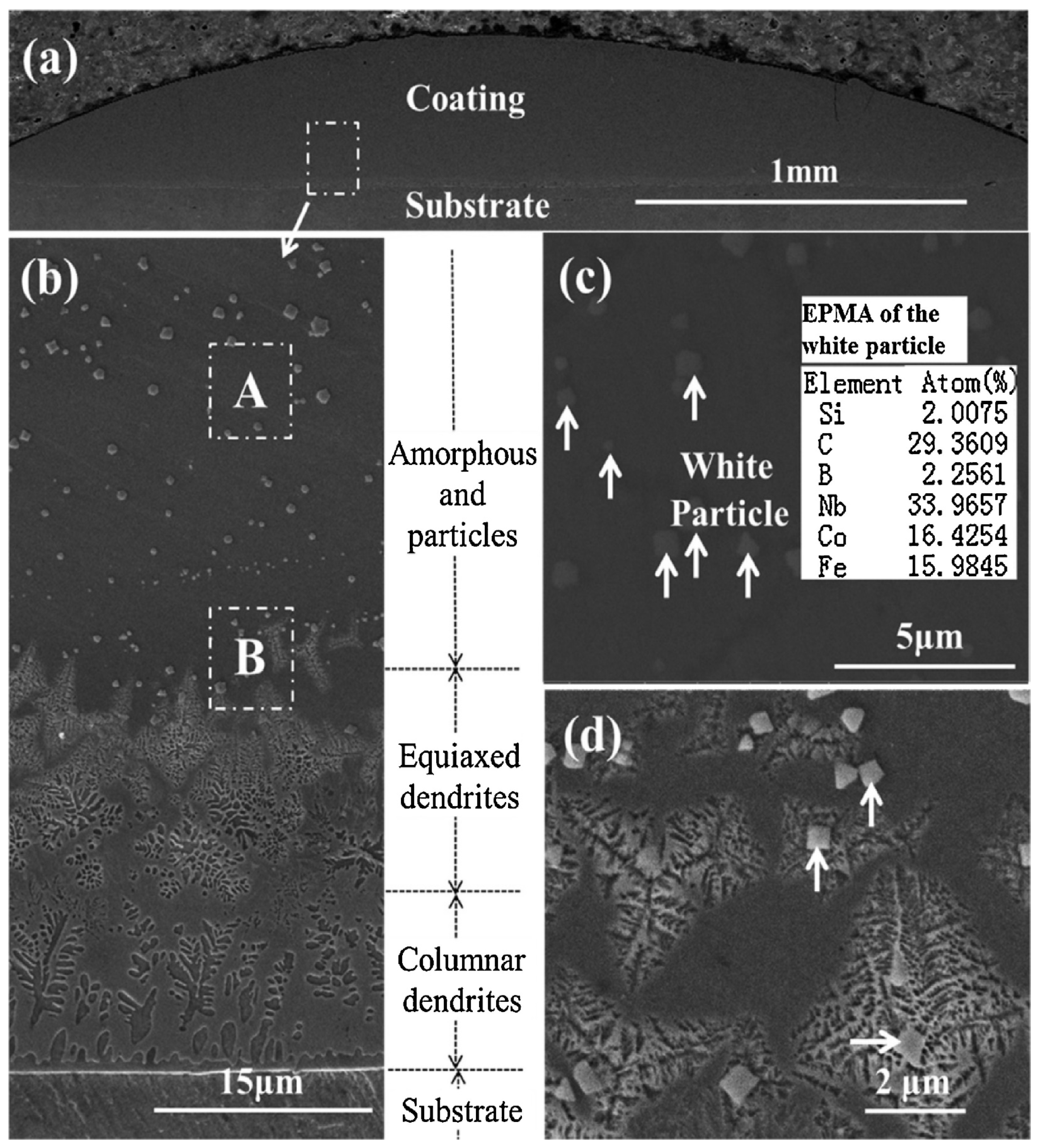 Coatings 13 01689 g003