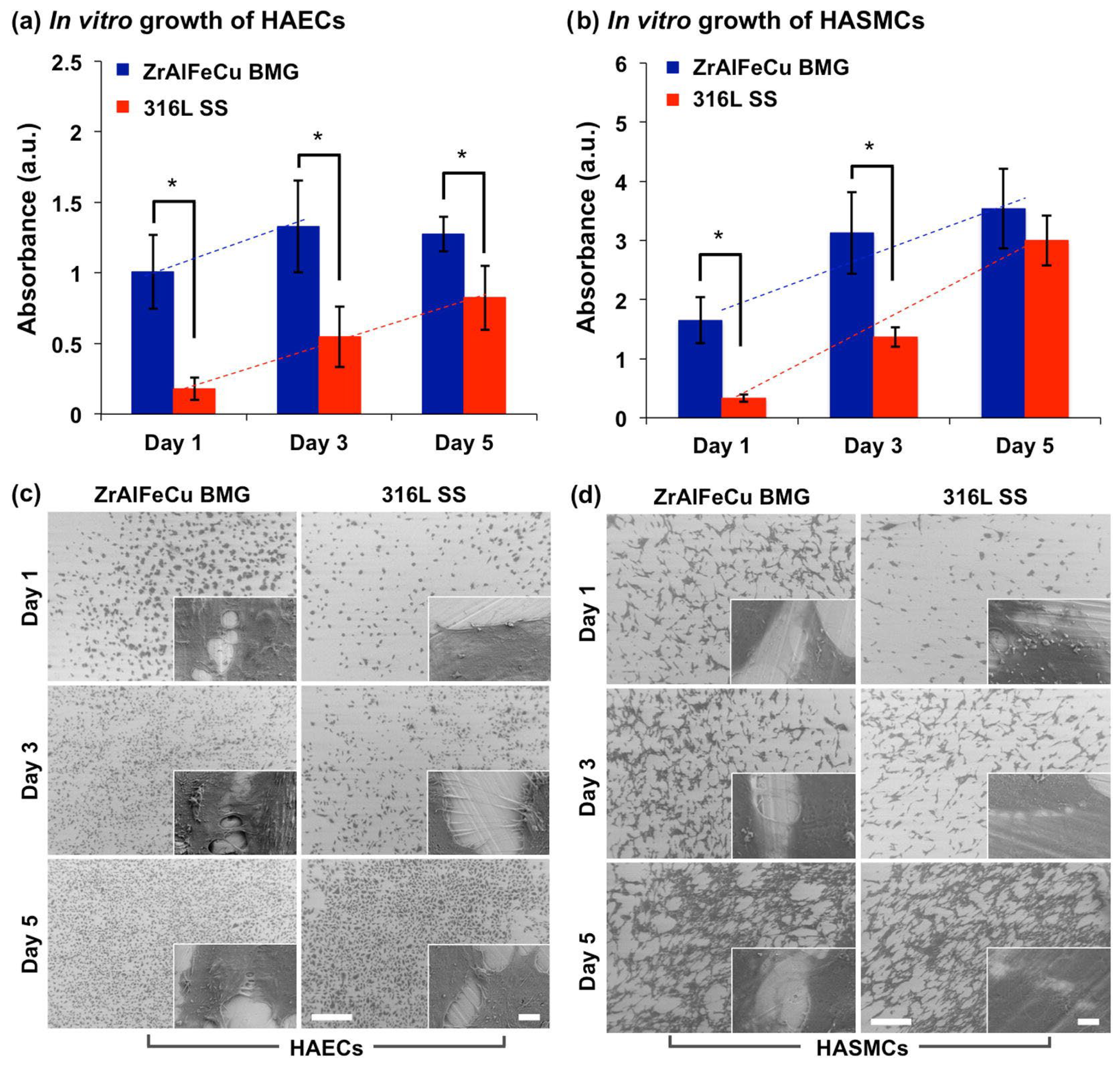 Coatings 13 01689 g013