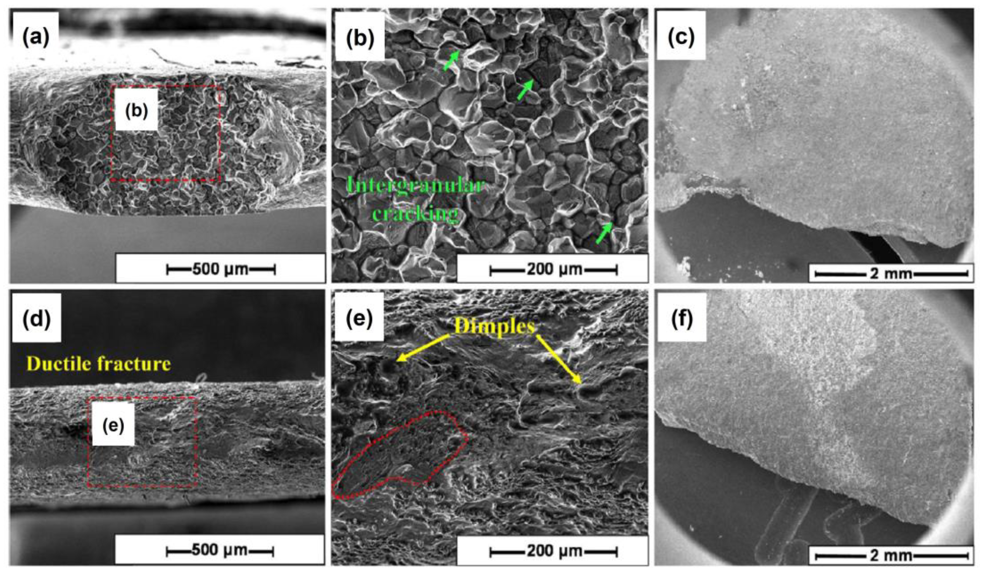 Coatings 13 01690 g002