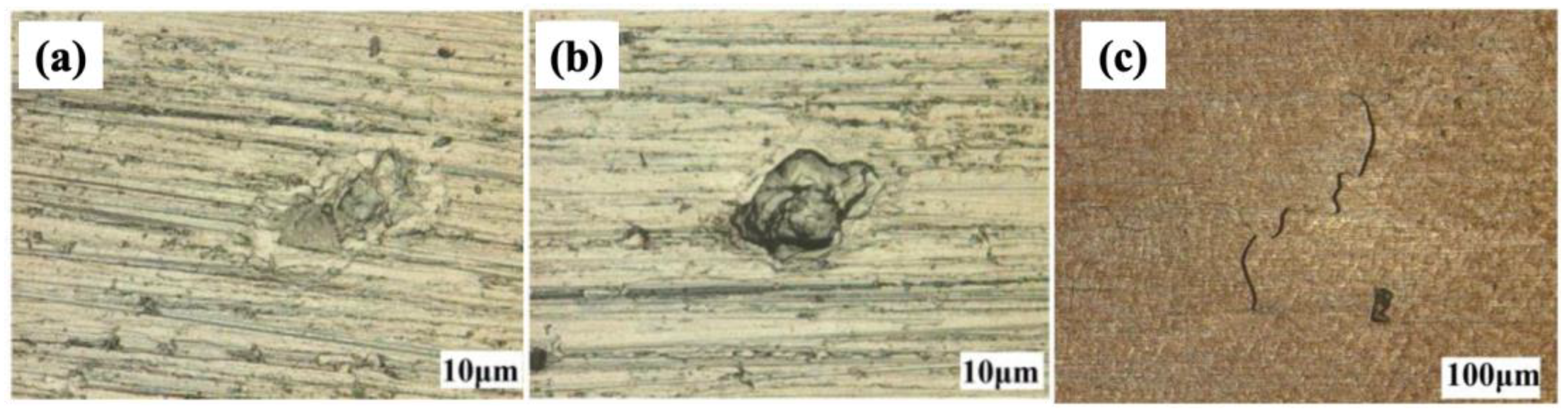 Coatings 13 01690 g003