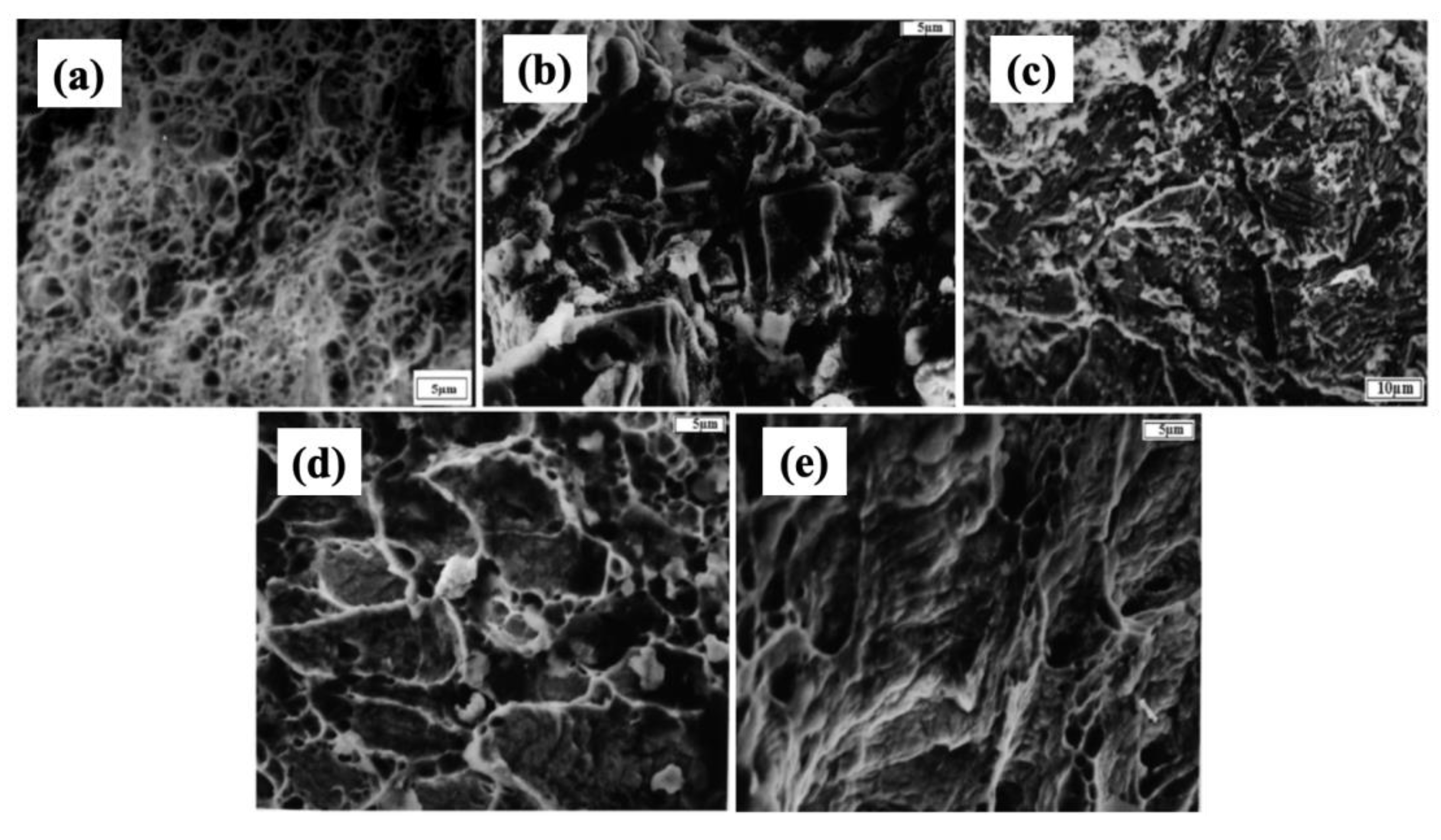 Coatings 13 01690 g004