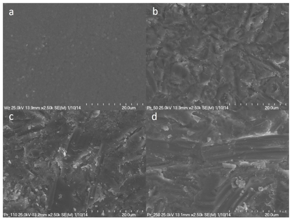 Coatings 13 01691 g003