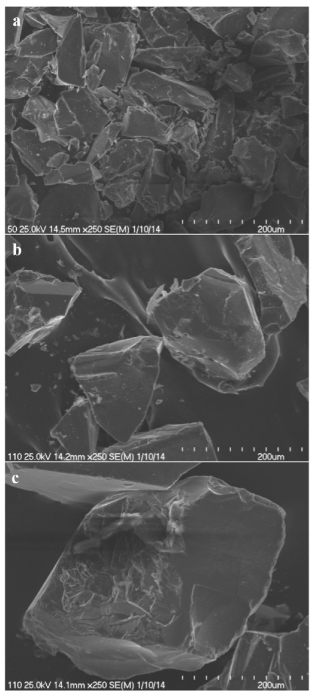 Coatings 13 01691 g008