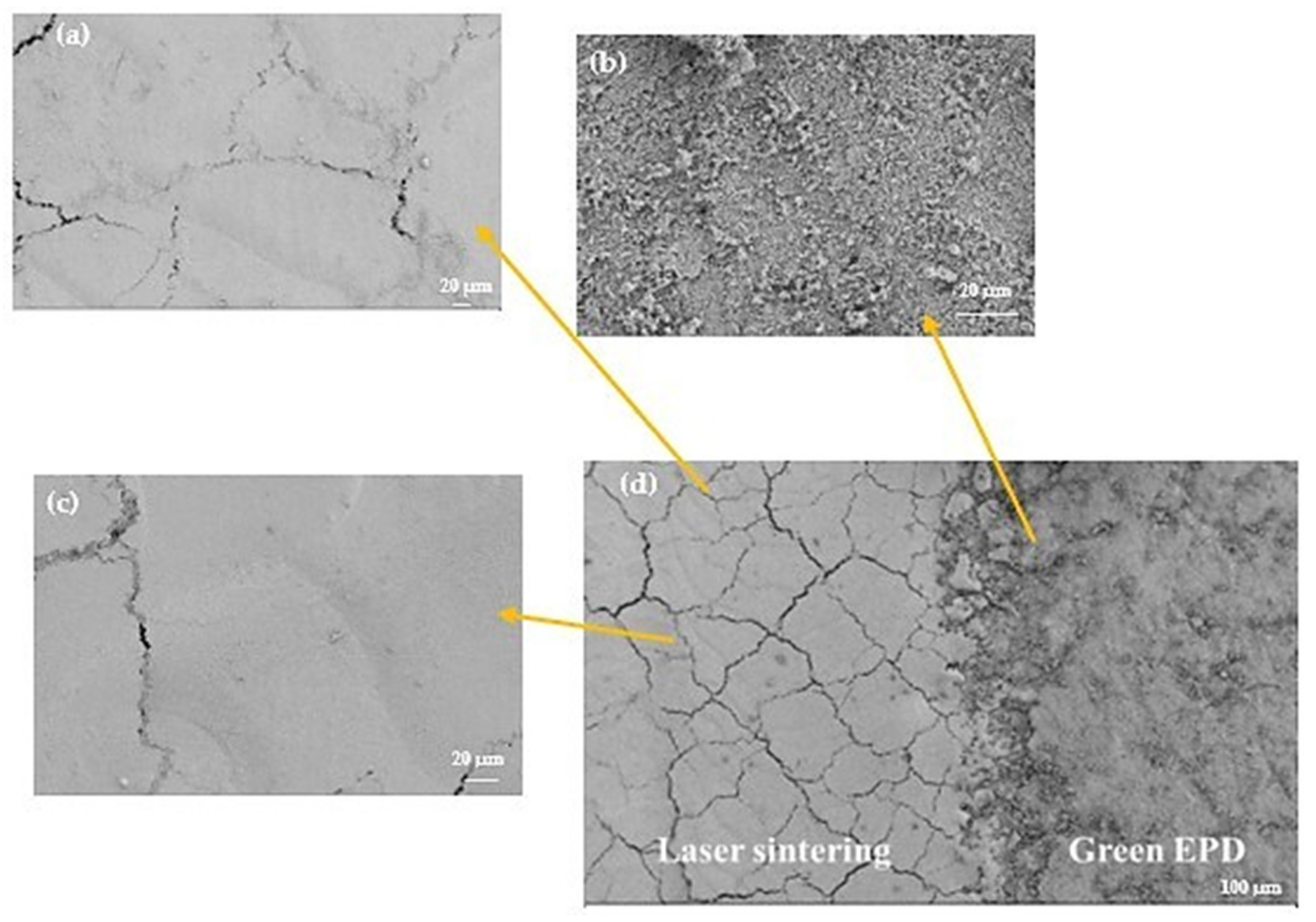 Coatings 13 01695 g009