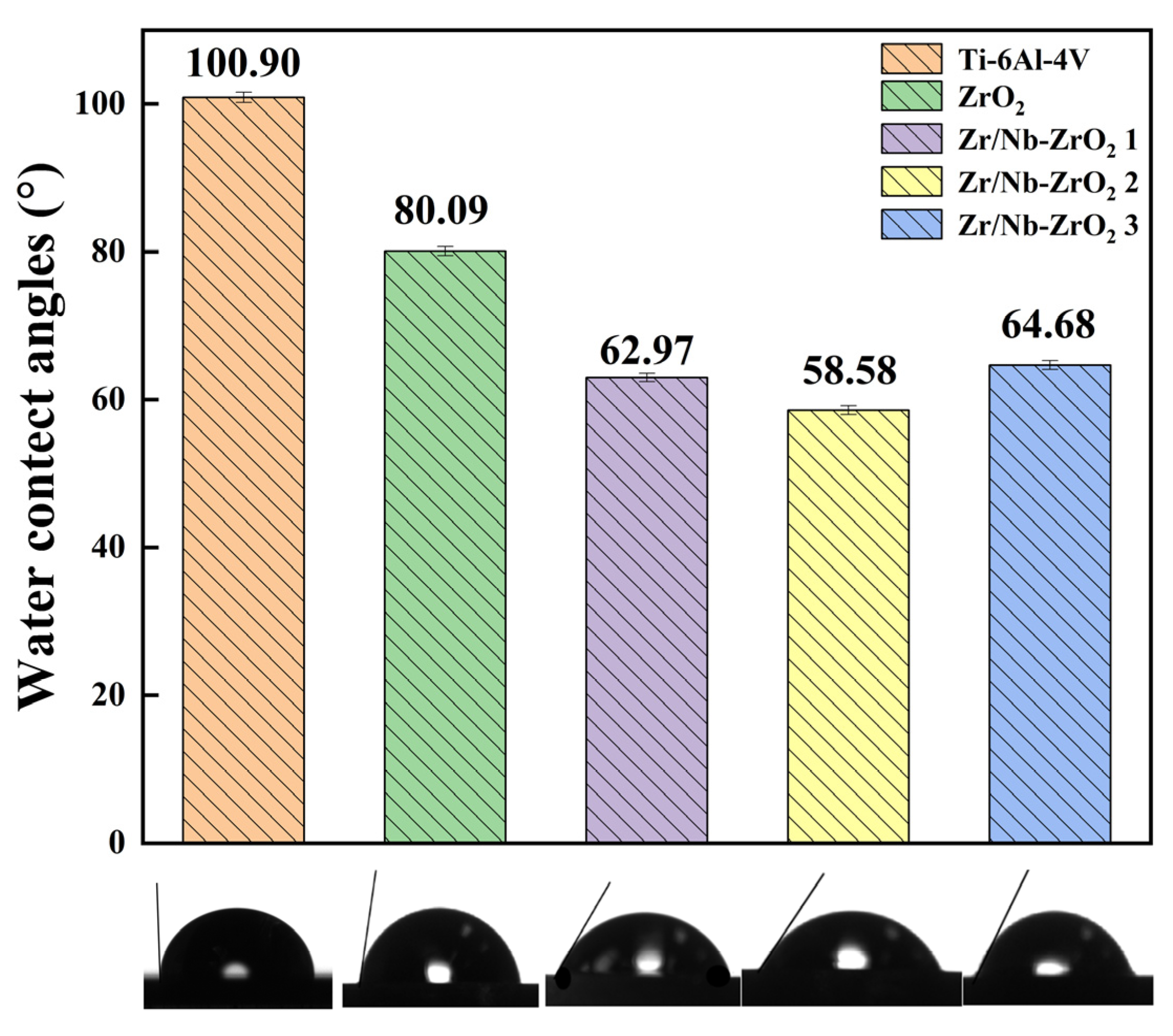 Coatings 13 01696 g007