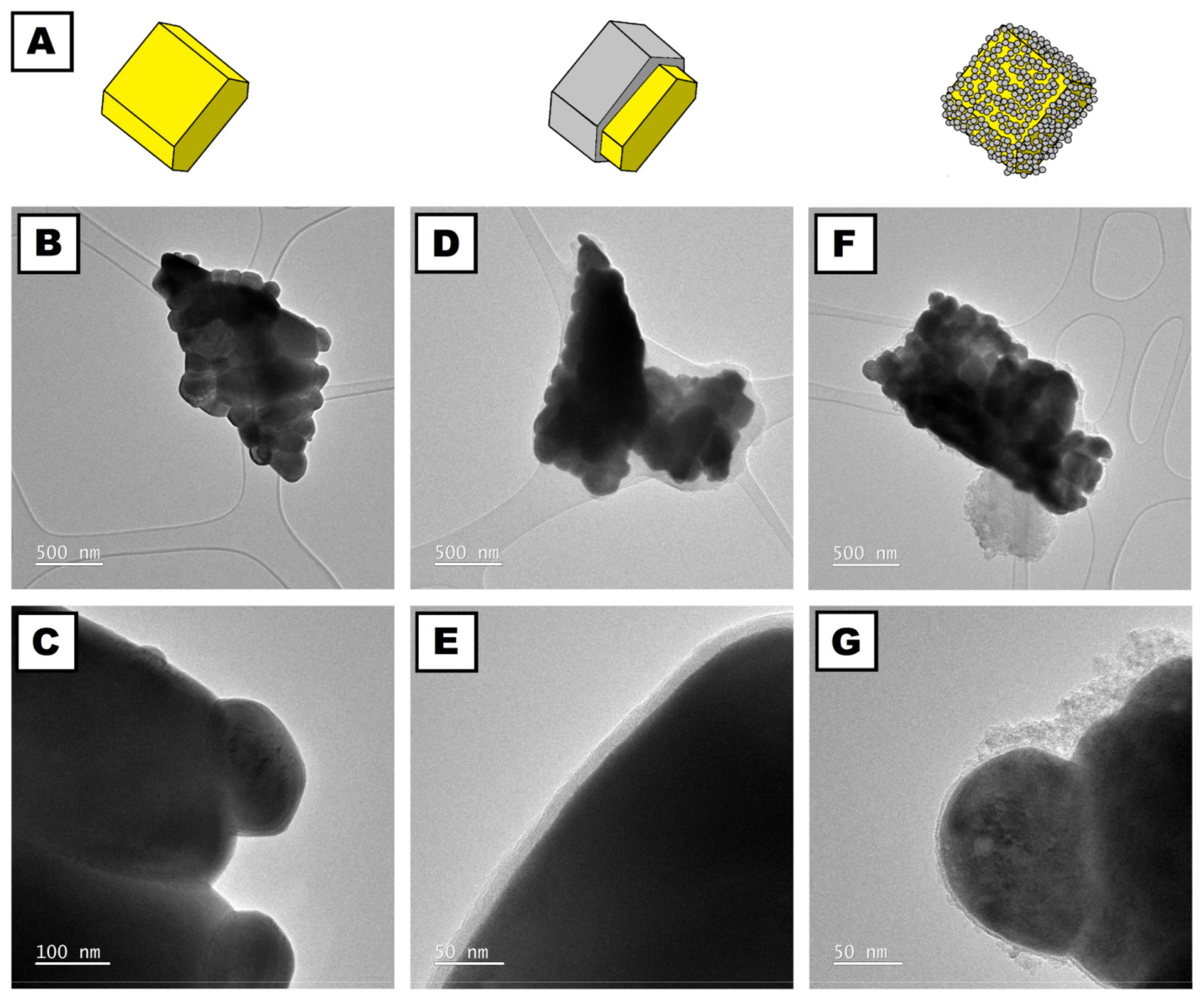 Coatings 13 01698 g007 Coatings 13 01698 g007