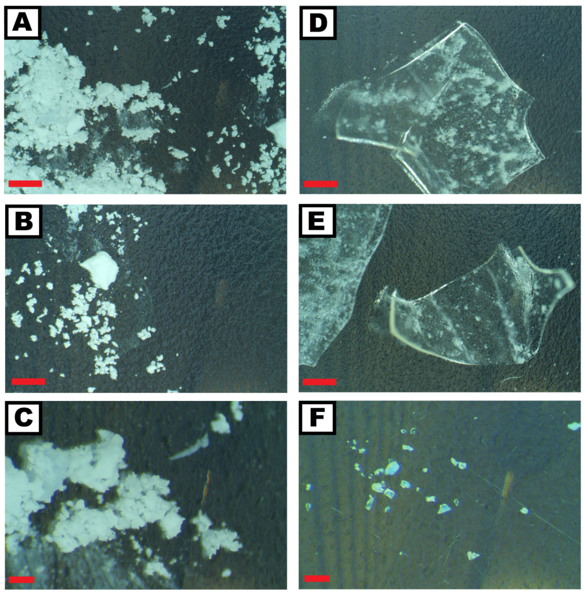 Coatings 13 01698 g009 Coatings 13 01698 g009