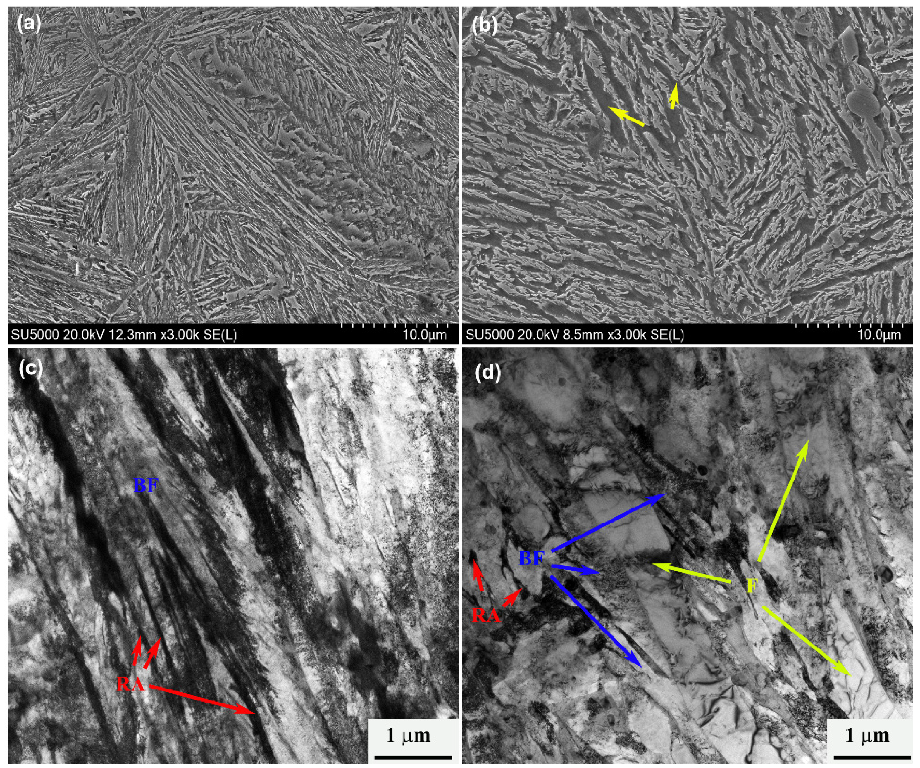 Coatings 13 01700 g003