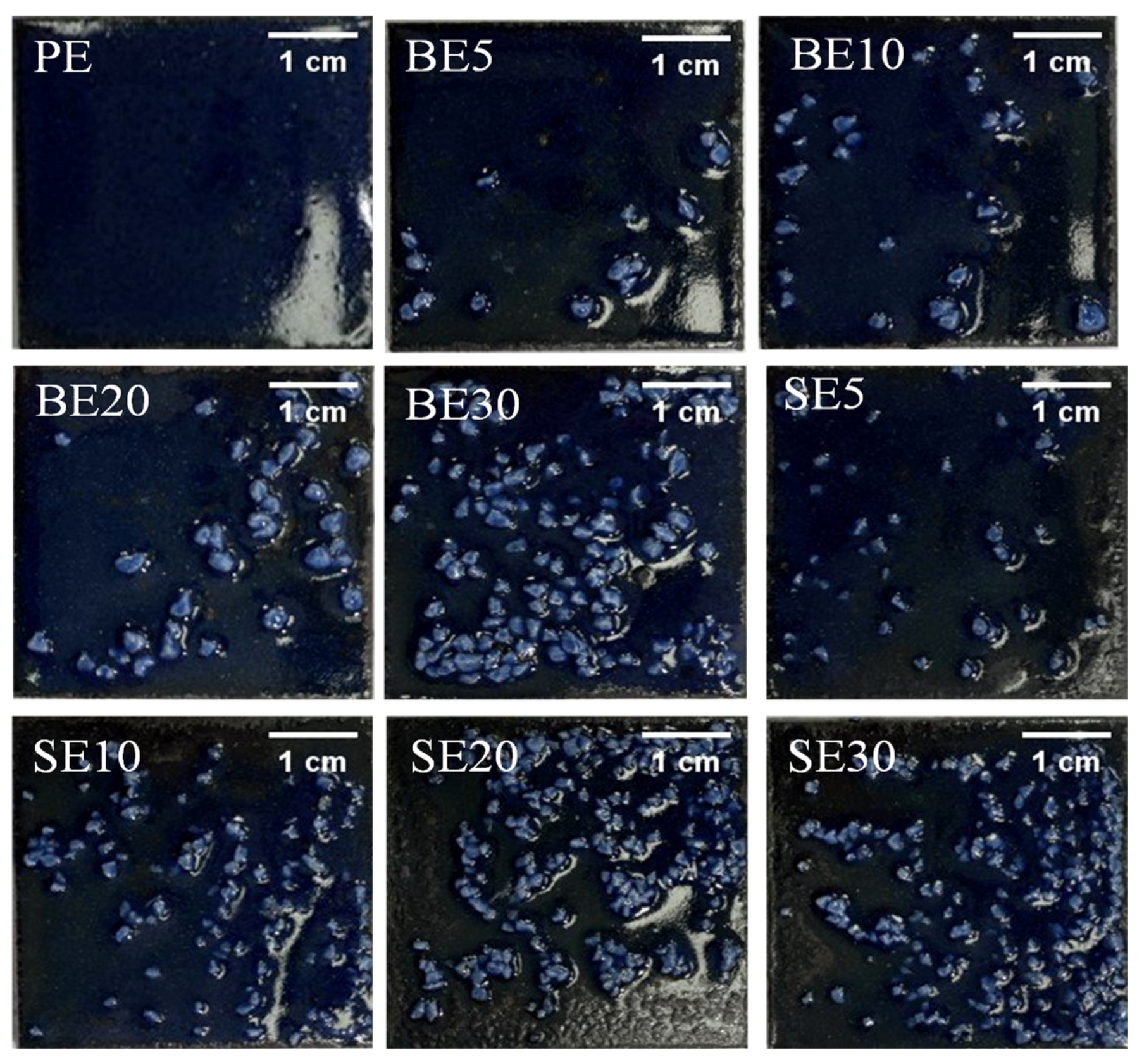 Coatings 13 01704 g002