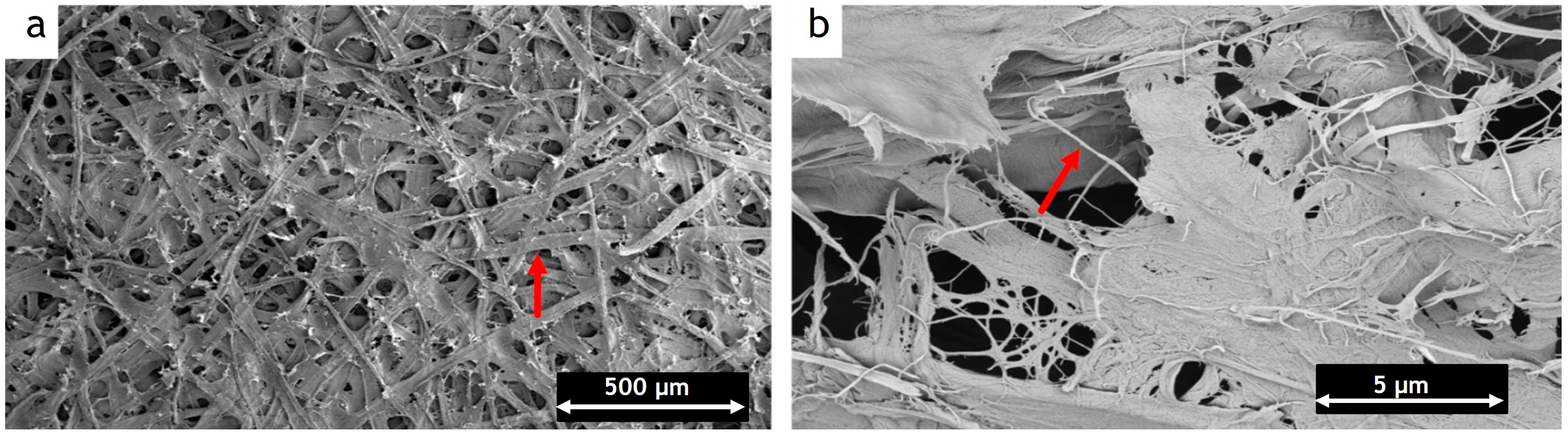 Coatings 13 01705 g001