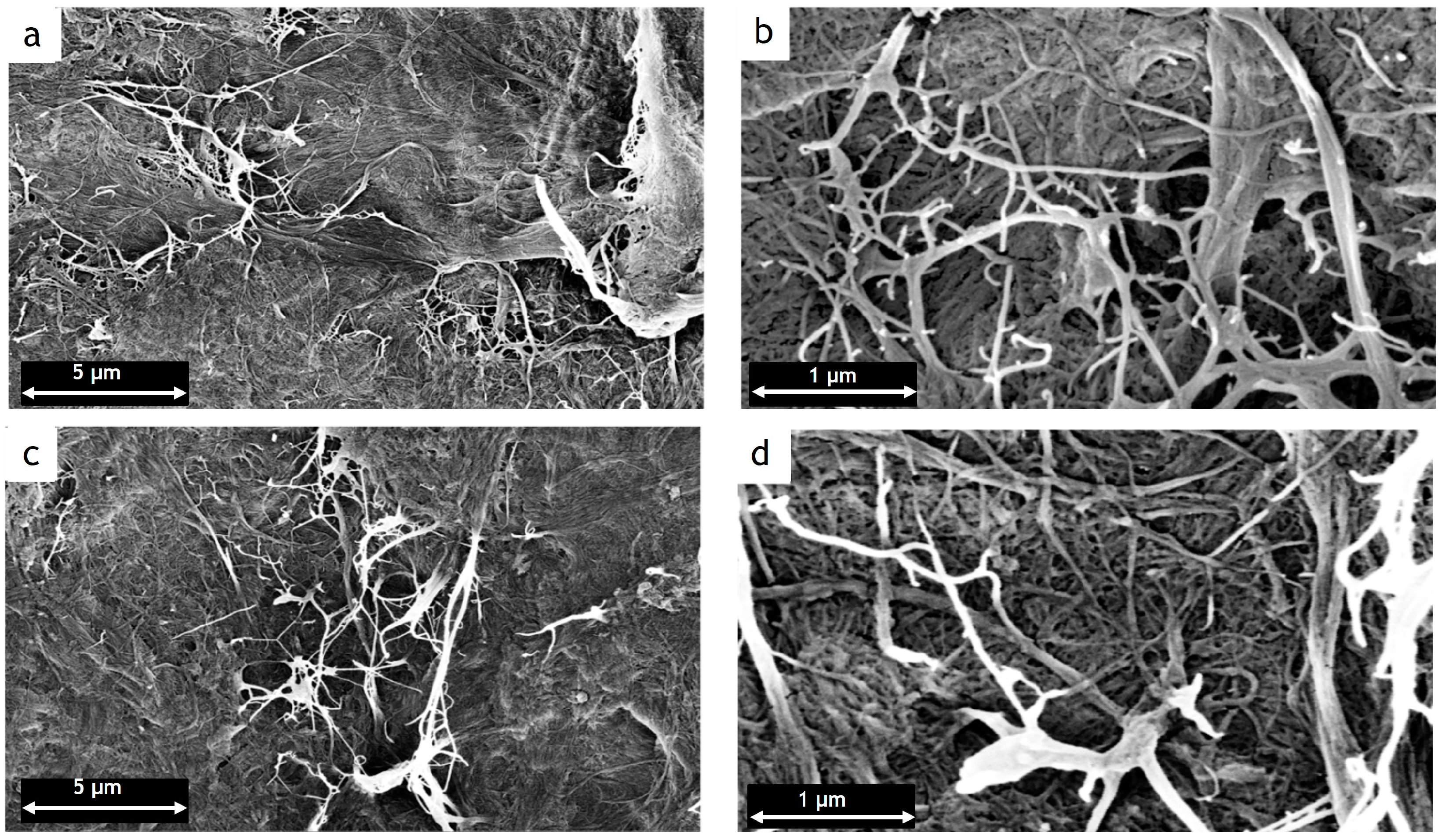 Coatings 13 01705 g003