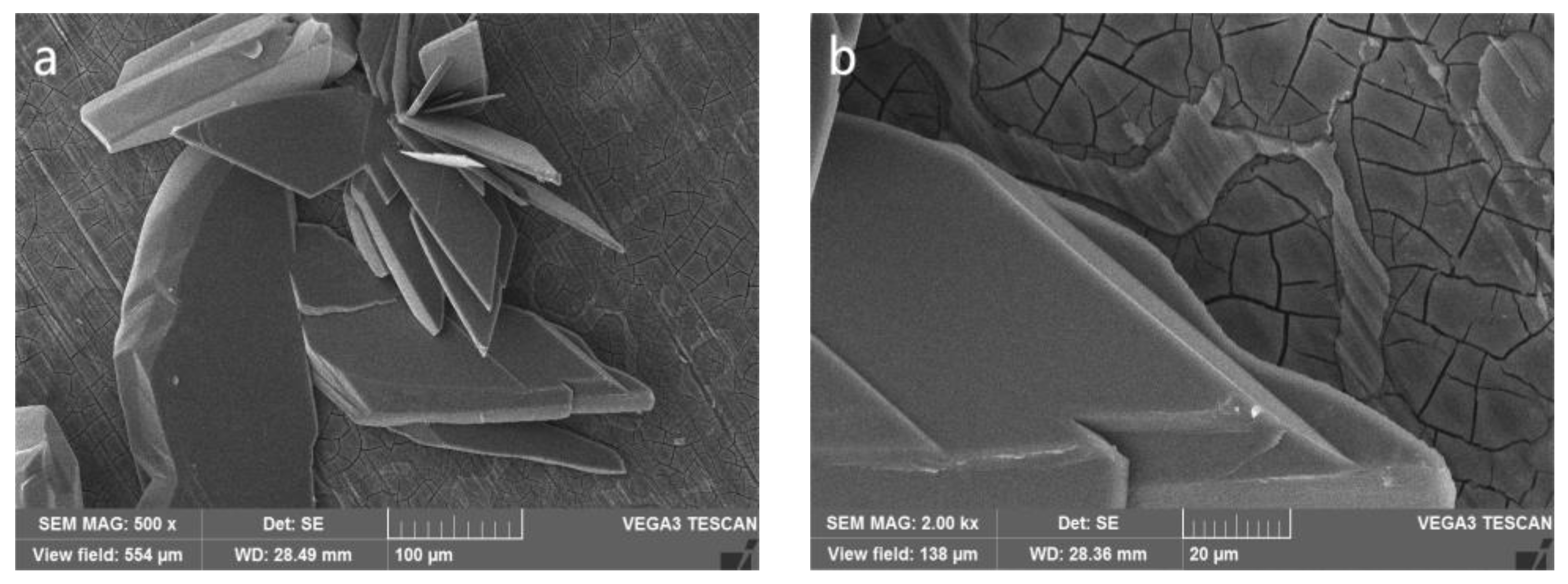 Coatings 13 01706 g004