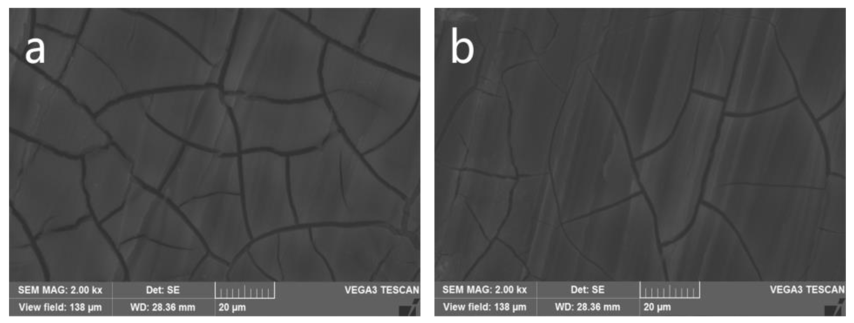 Coatings 13 01706 g011
