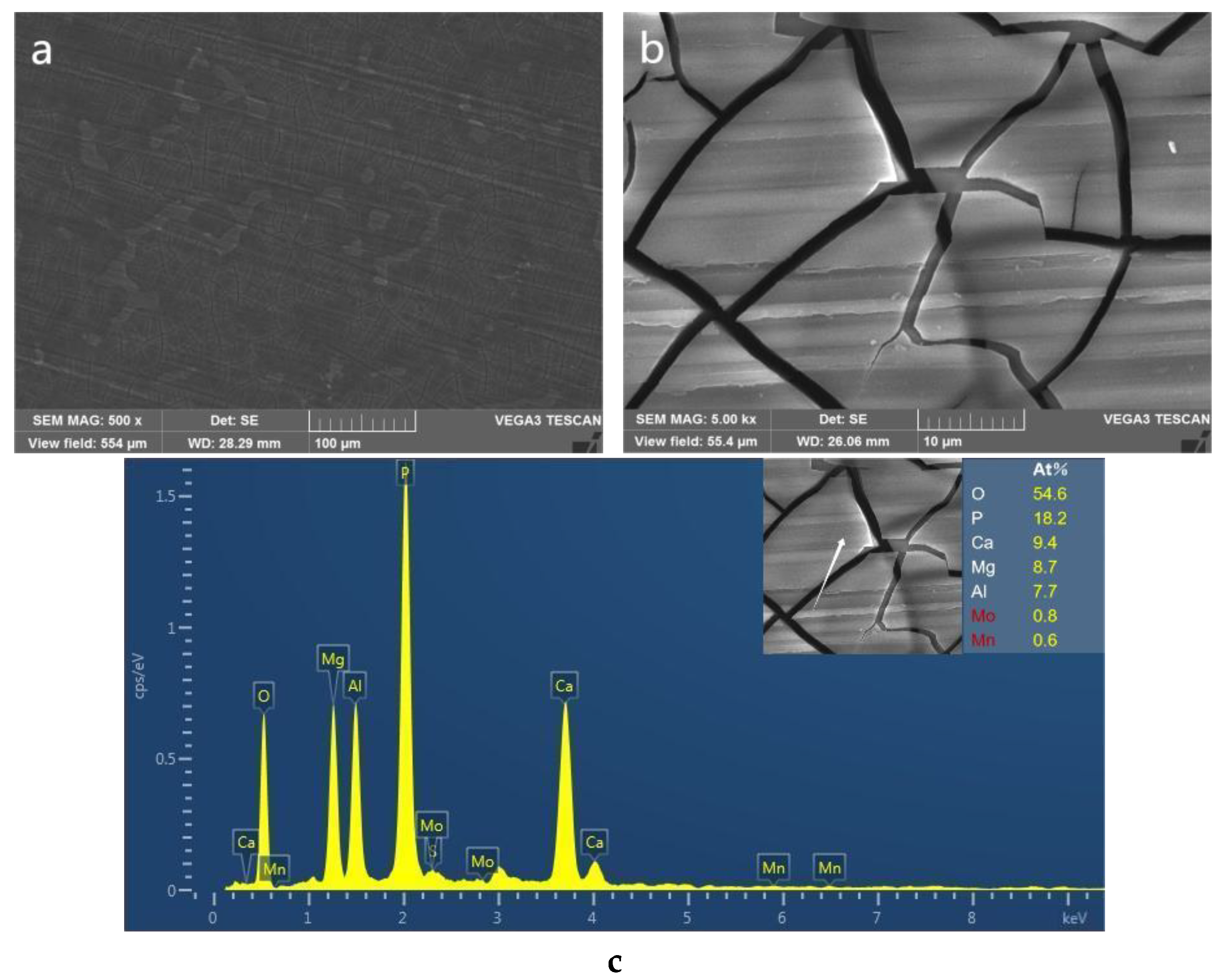 Coatings 13 01706 g015
