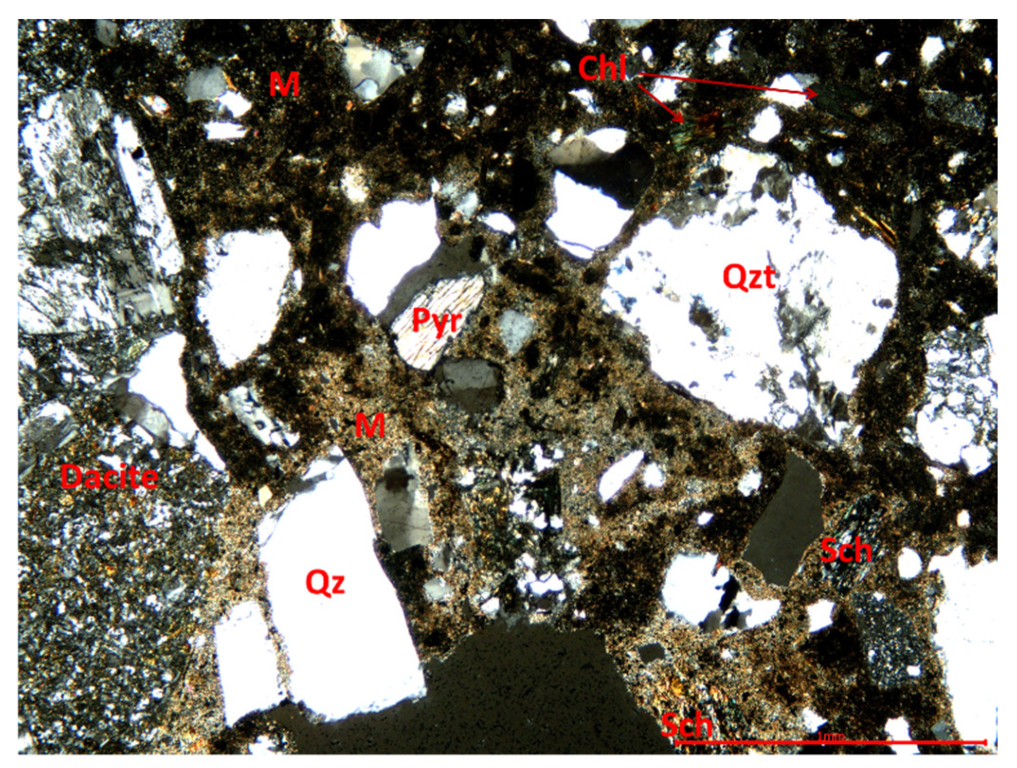 Coatings 13 01710 g010 Coatings 13 01710 g010