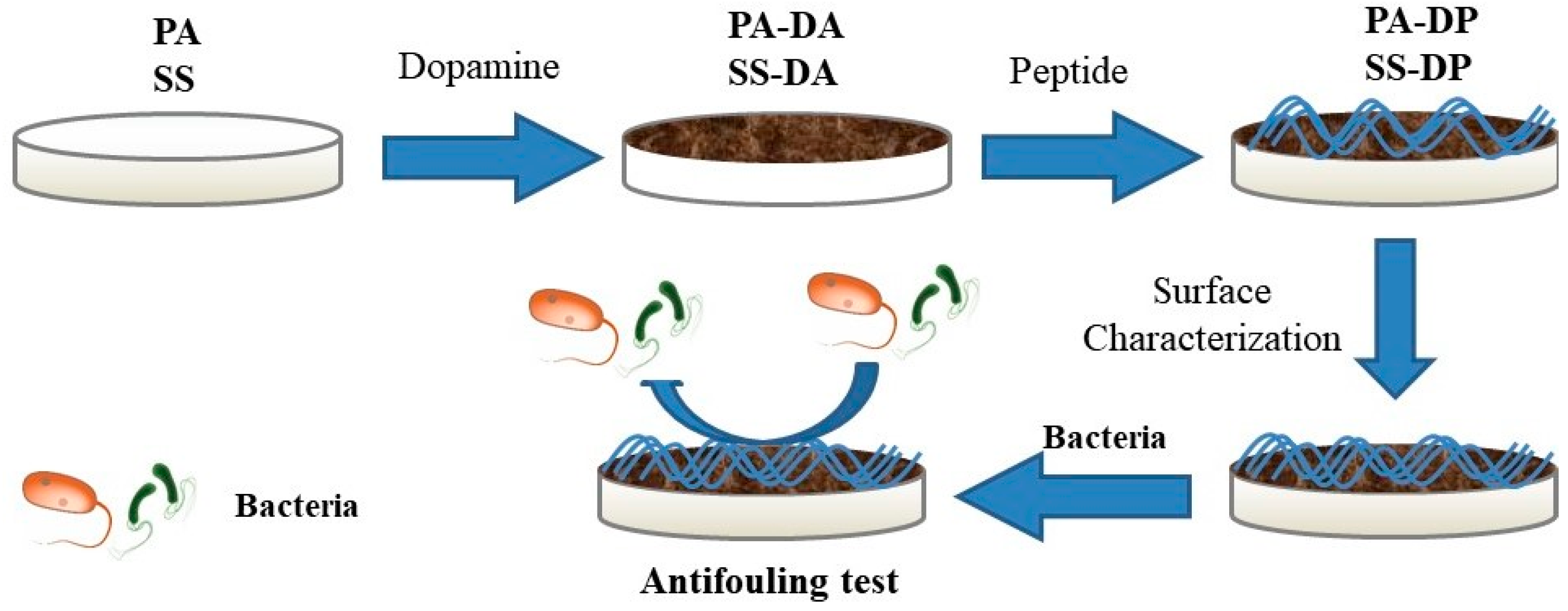 Coatings 13 01711 g001