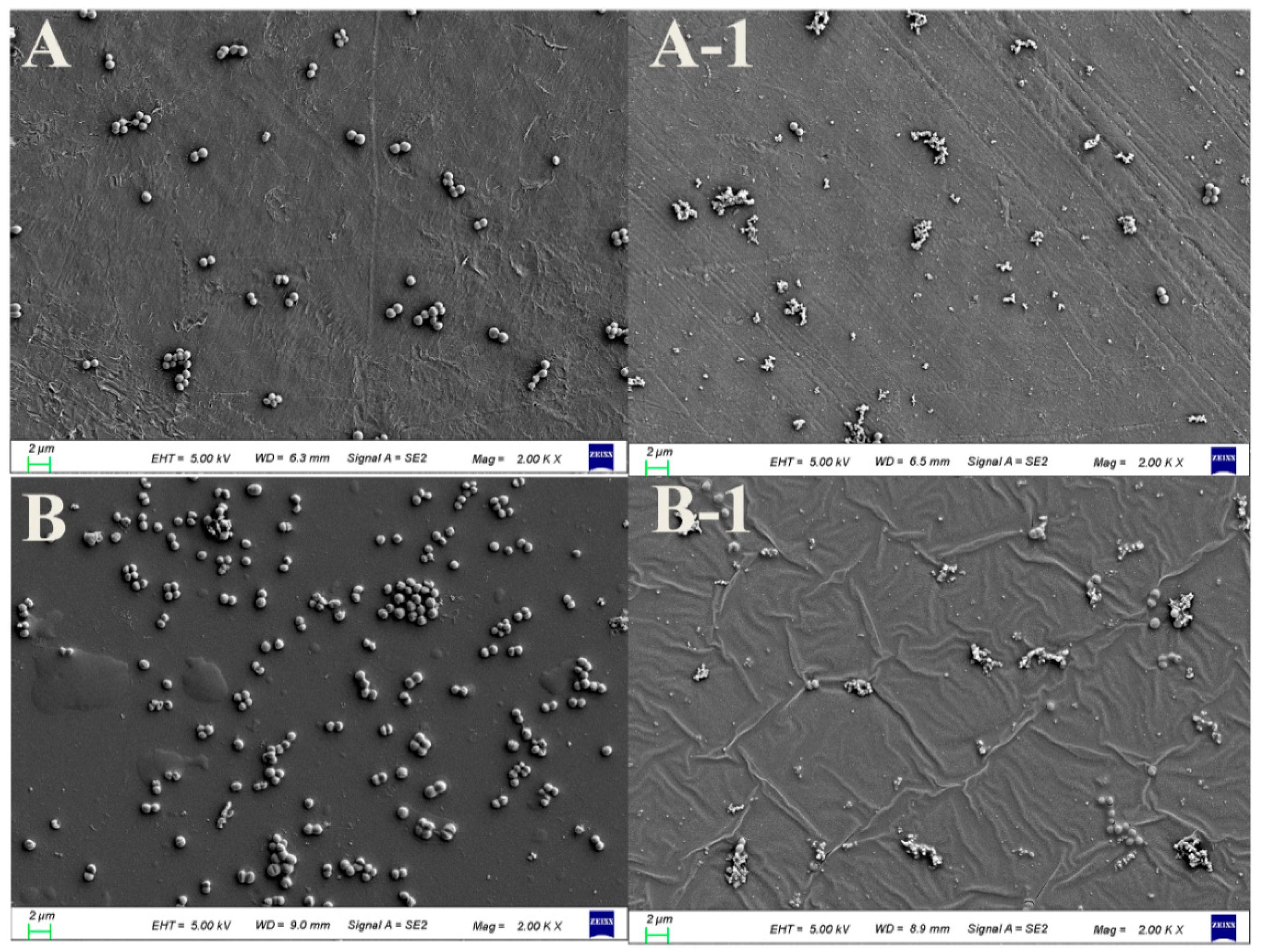 Coatings 13 01711 g006