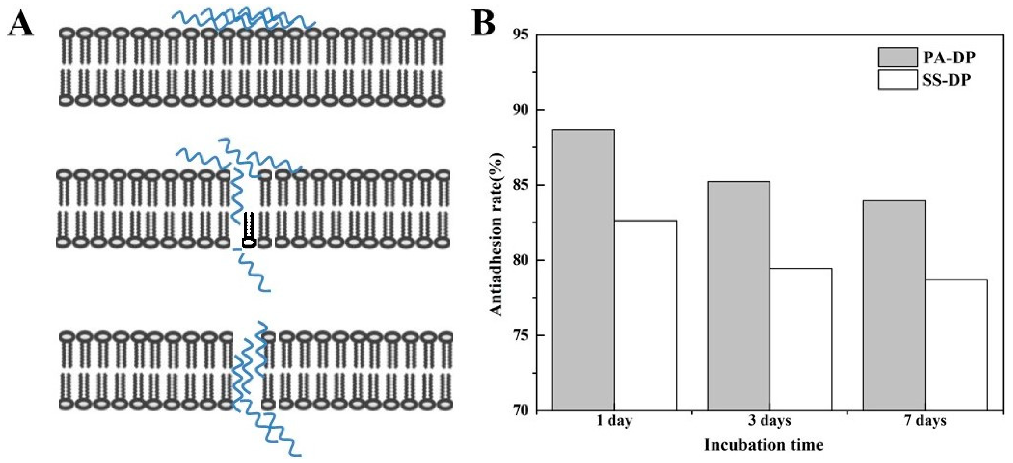 Coatings 13 01711 g007