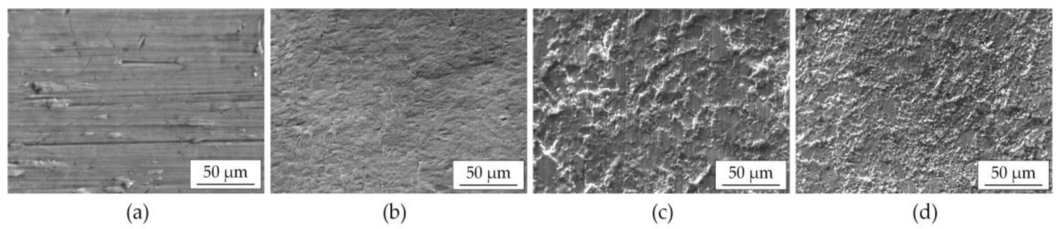 Coatings 13 01714 g004