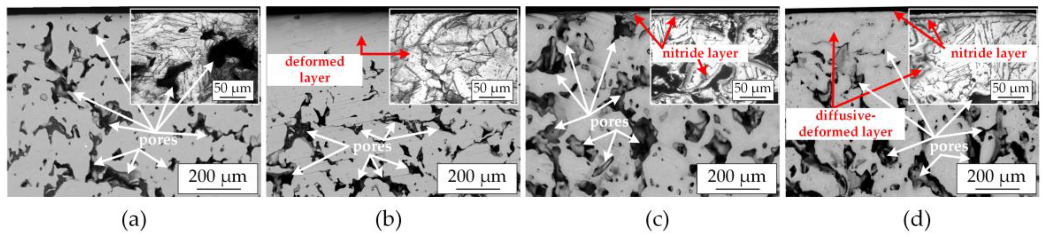 Coatings 13 01714 g005