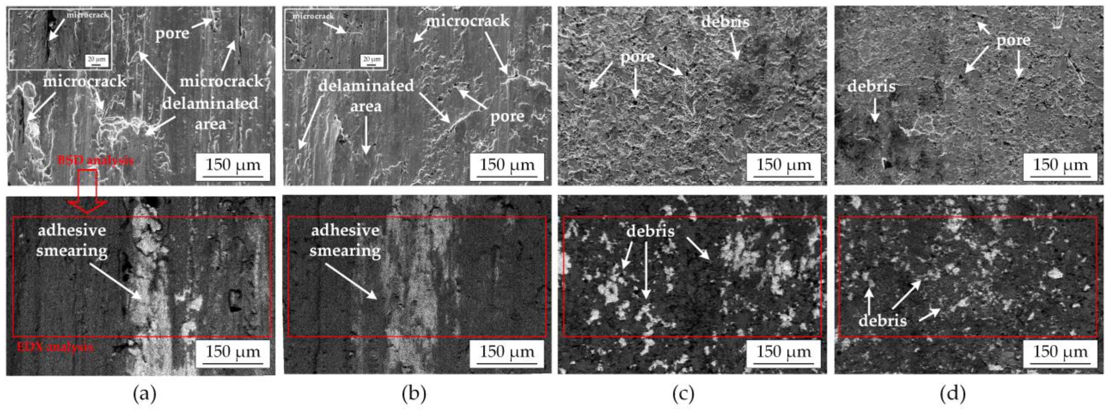 Coatings 13 01714 g009