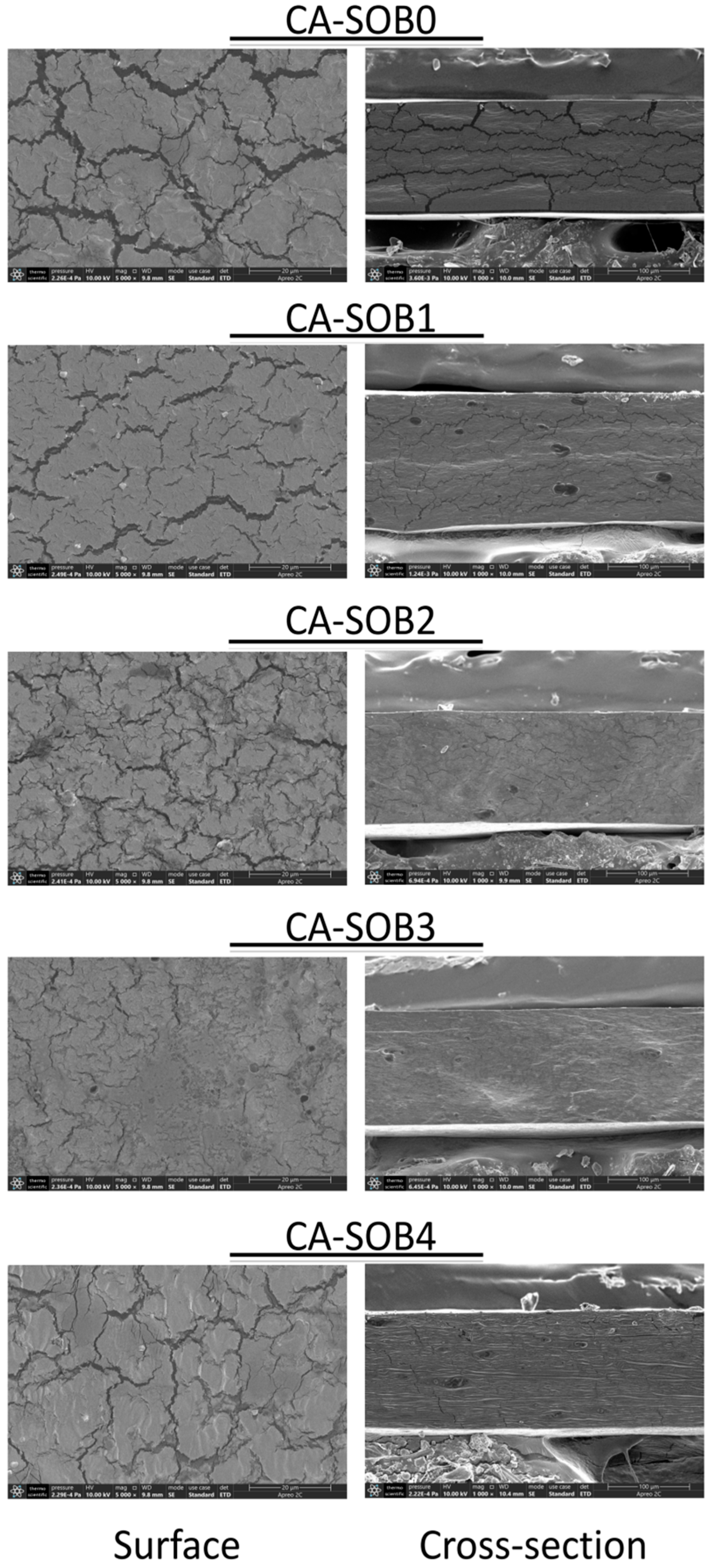 Coatings 13 01716 g003