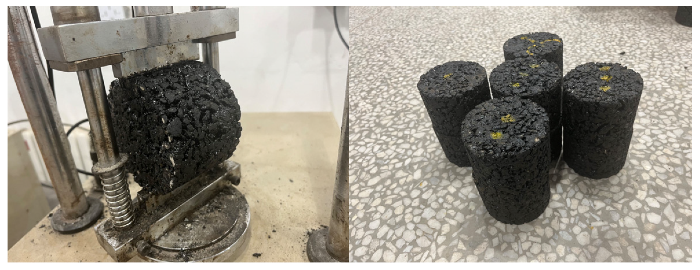 Coatings 13 01717 g013