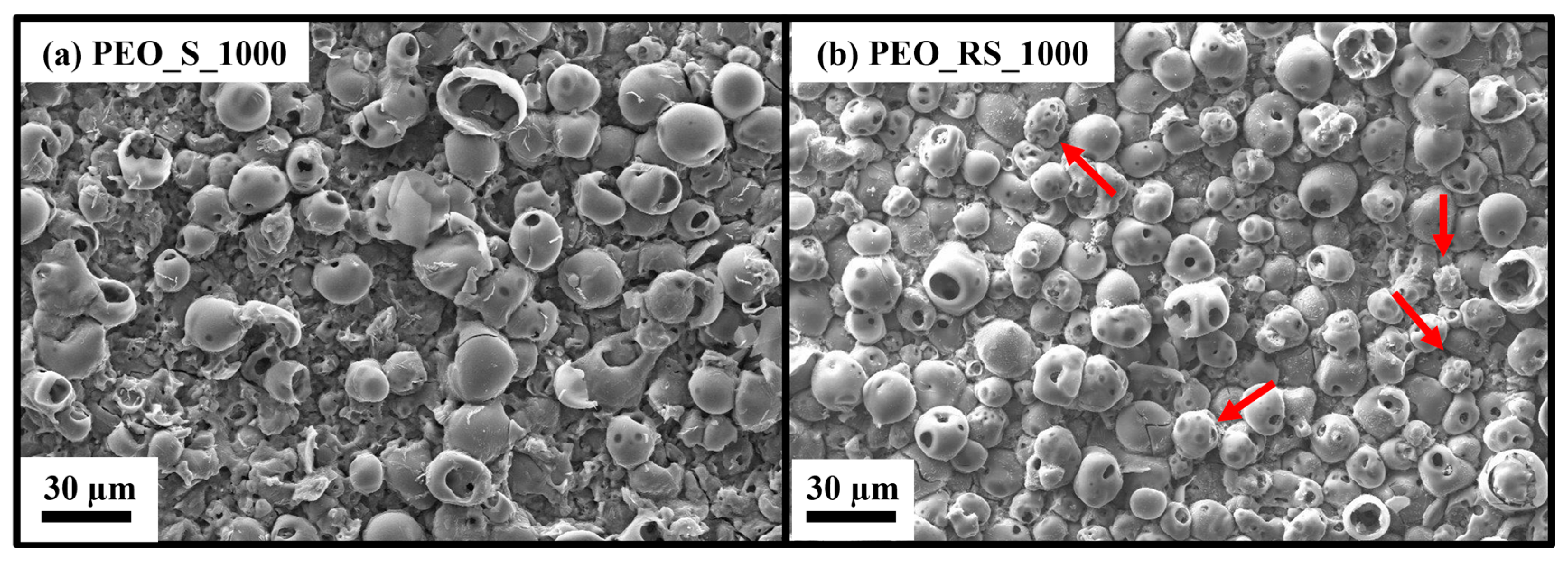 Coatings 13 01718 g003