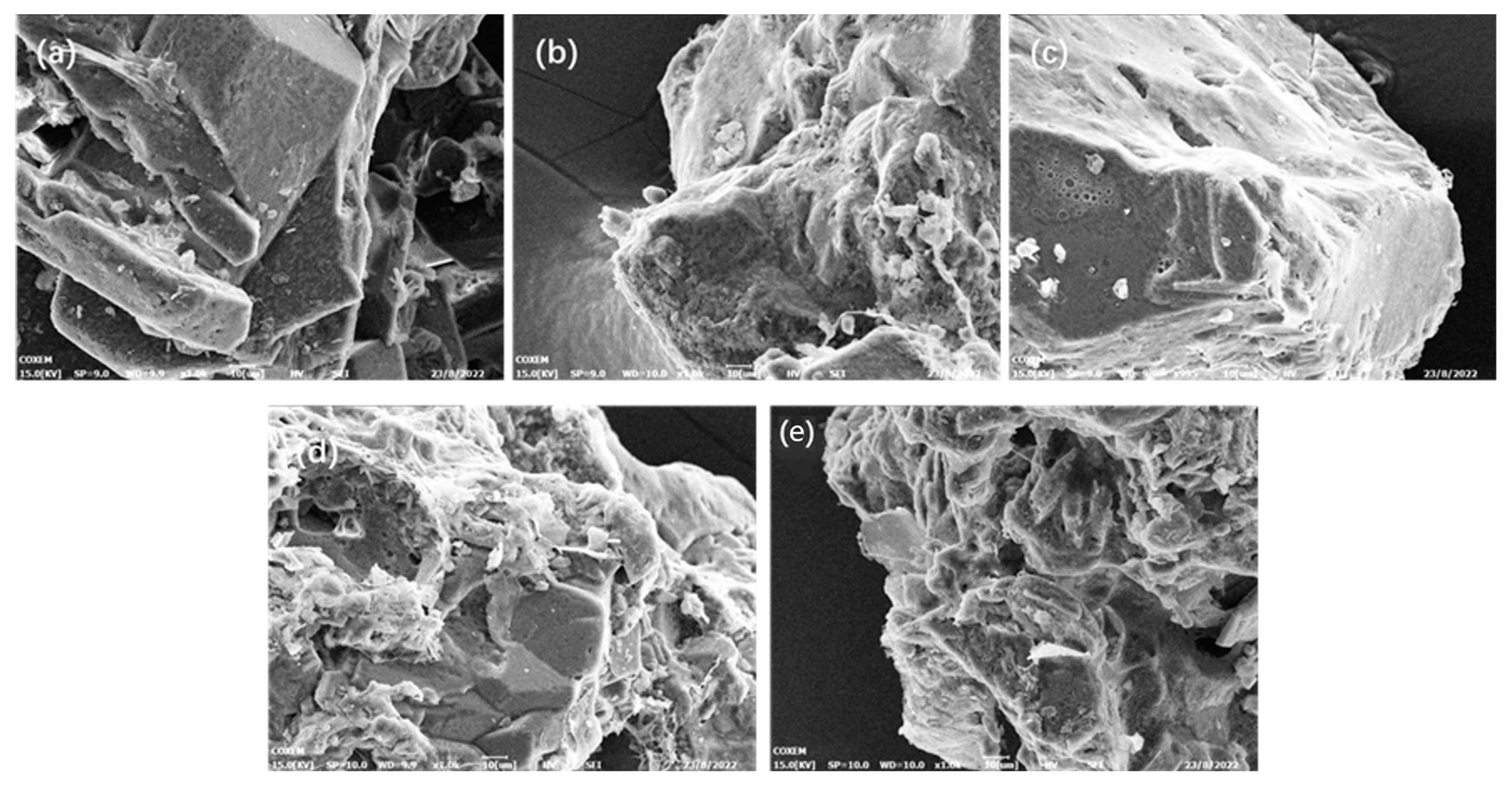Coatings 13 01721 g006