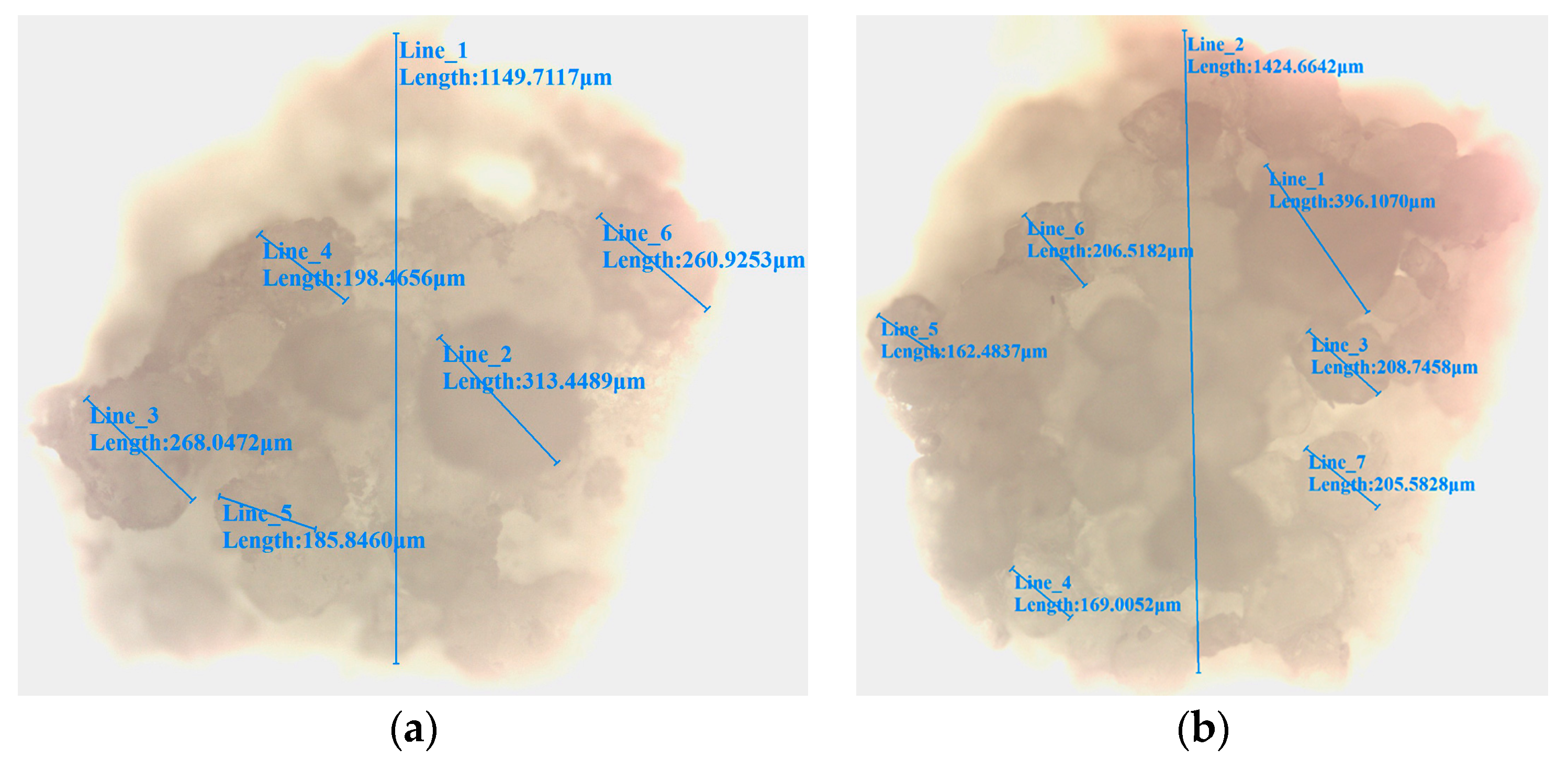 Coatings 13 01721 g014