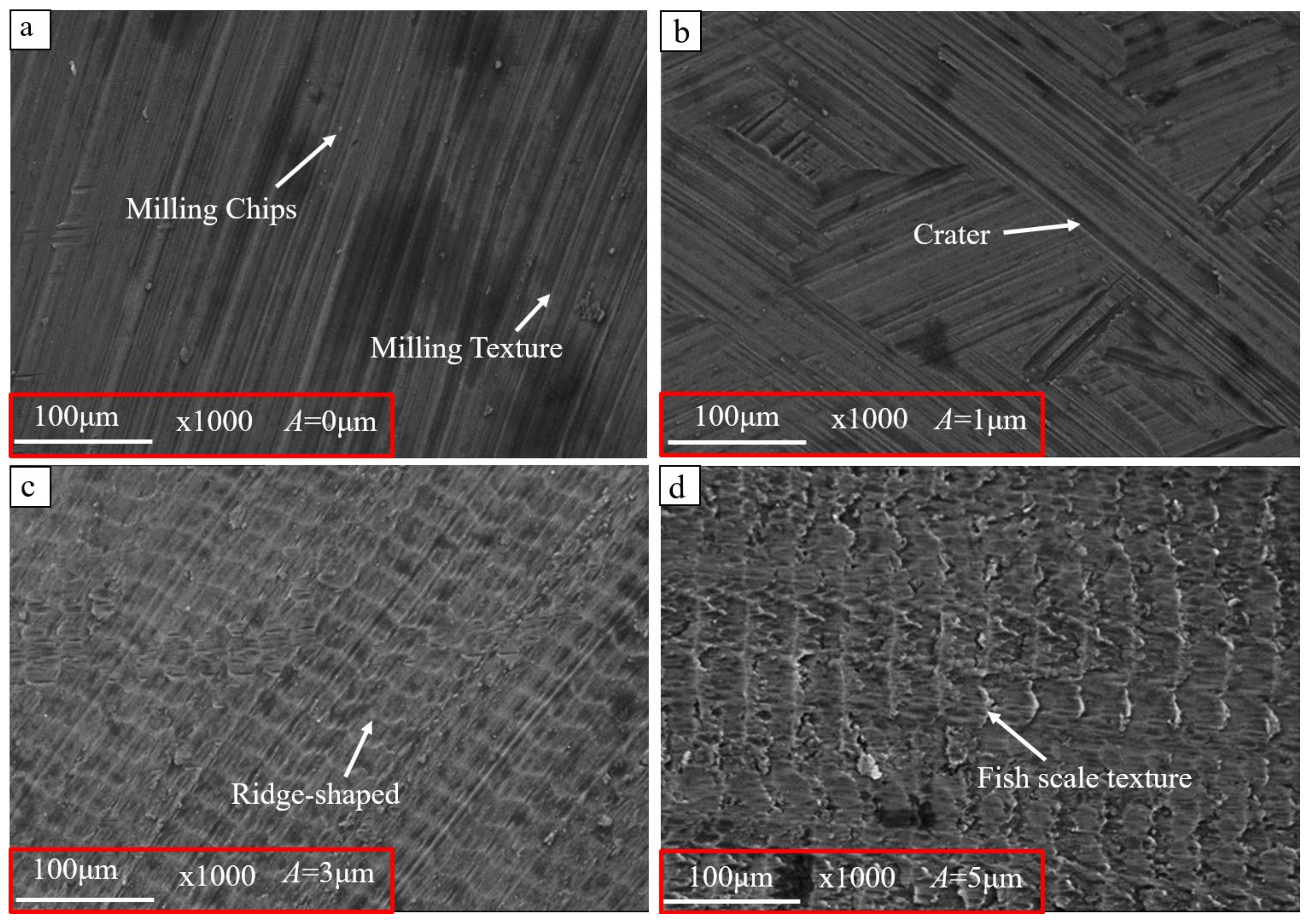 Coatings 13 01725 g006
